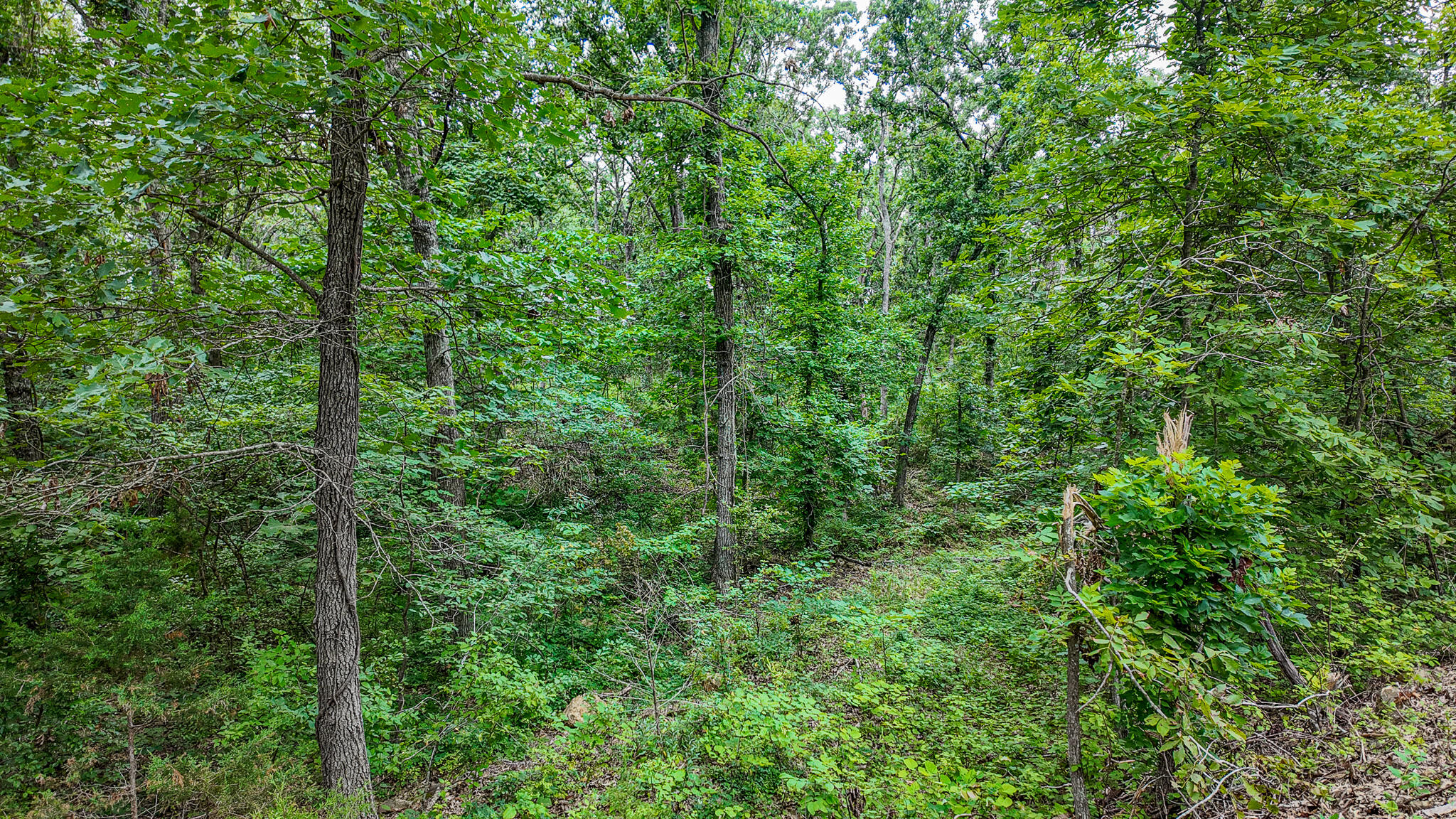 Photo 21 - Land for sale – 0000 NE 251 Road  Osceola, MO
