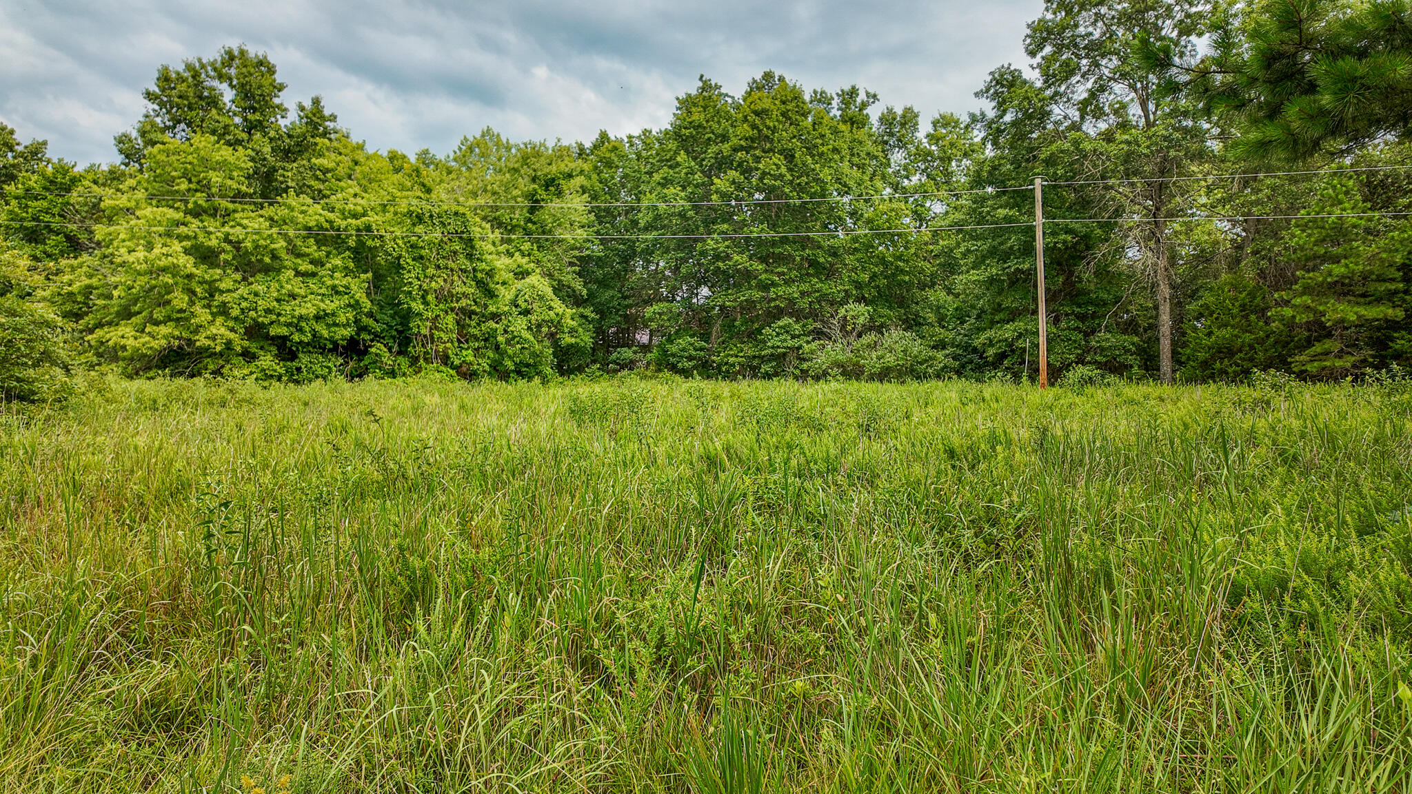 Photo 12 - Land for sale – 0000 NE 251 Road  Osceola, MO