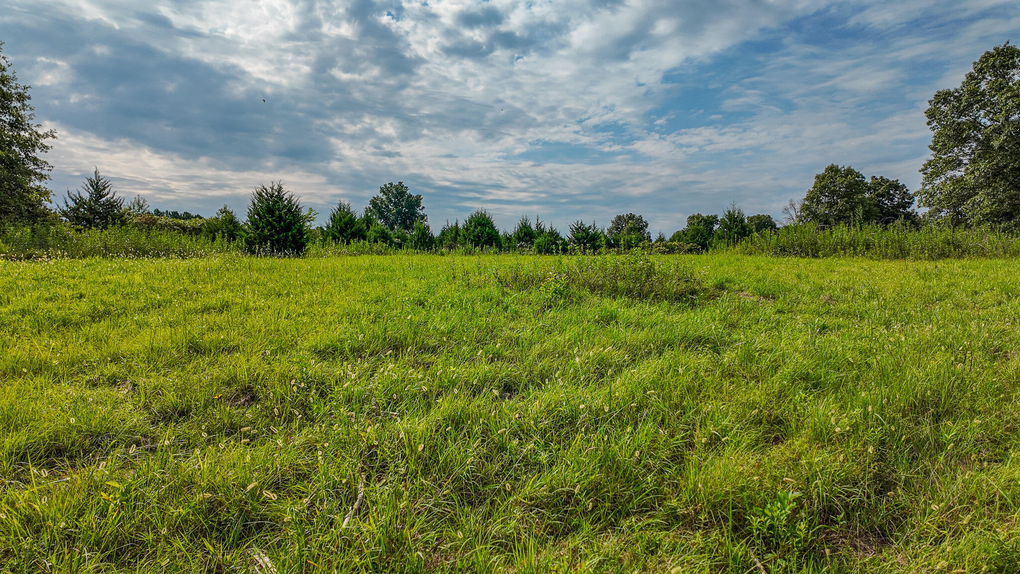 Photo 47 - Land for sale – 0000 NE 251 Road  Osceola, MO