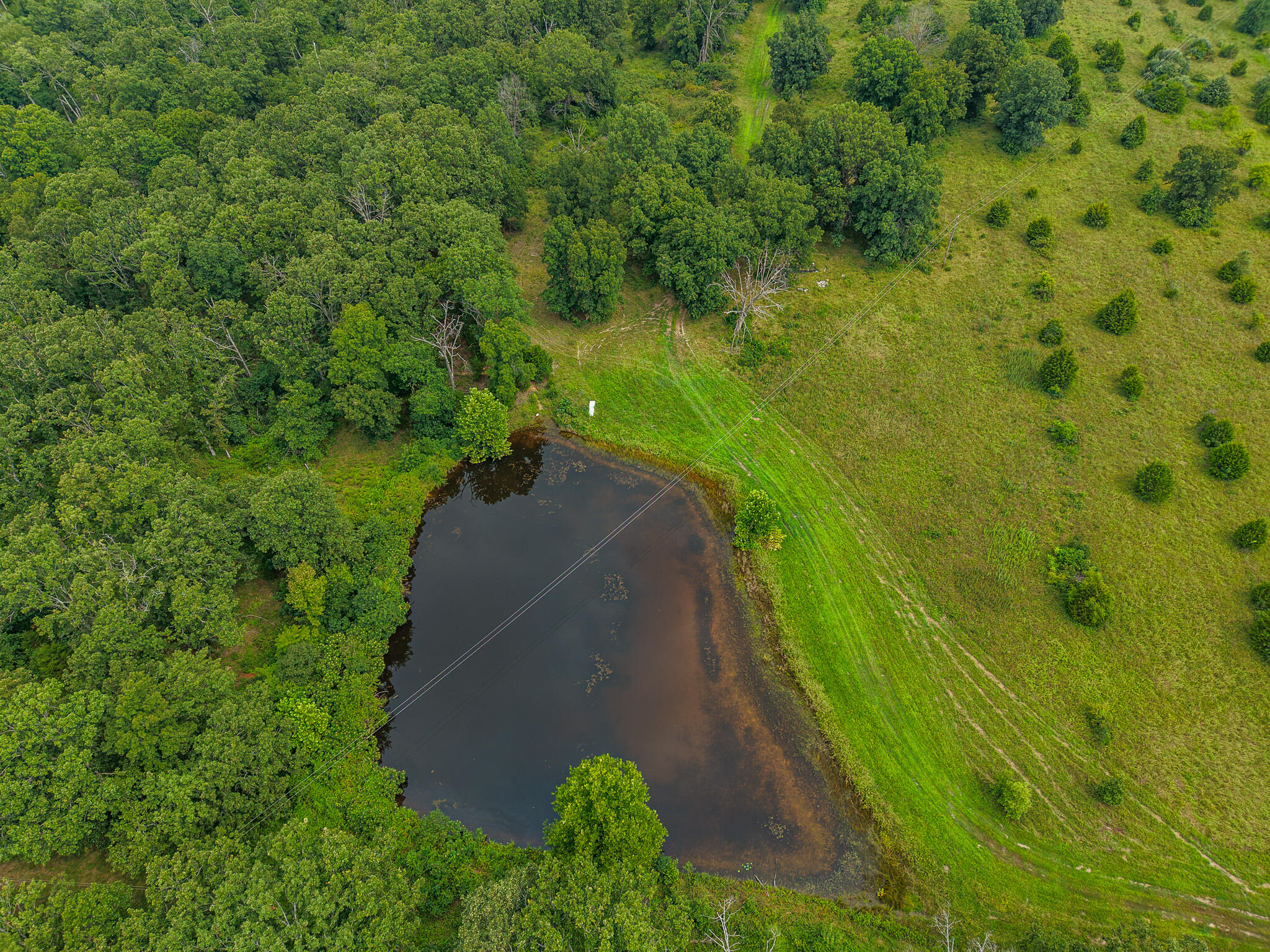 Photo 78 - Land for sale – 0000 NE 251 Road  Osceola, MO