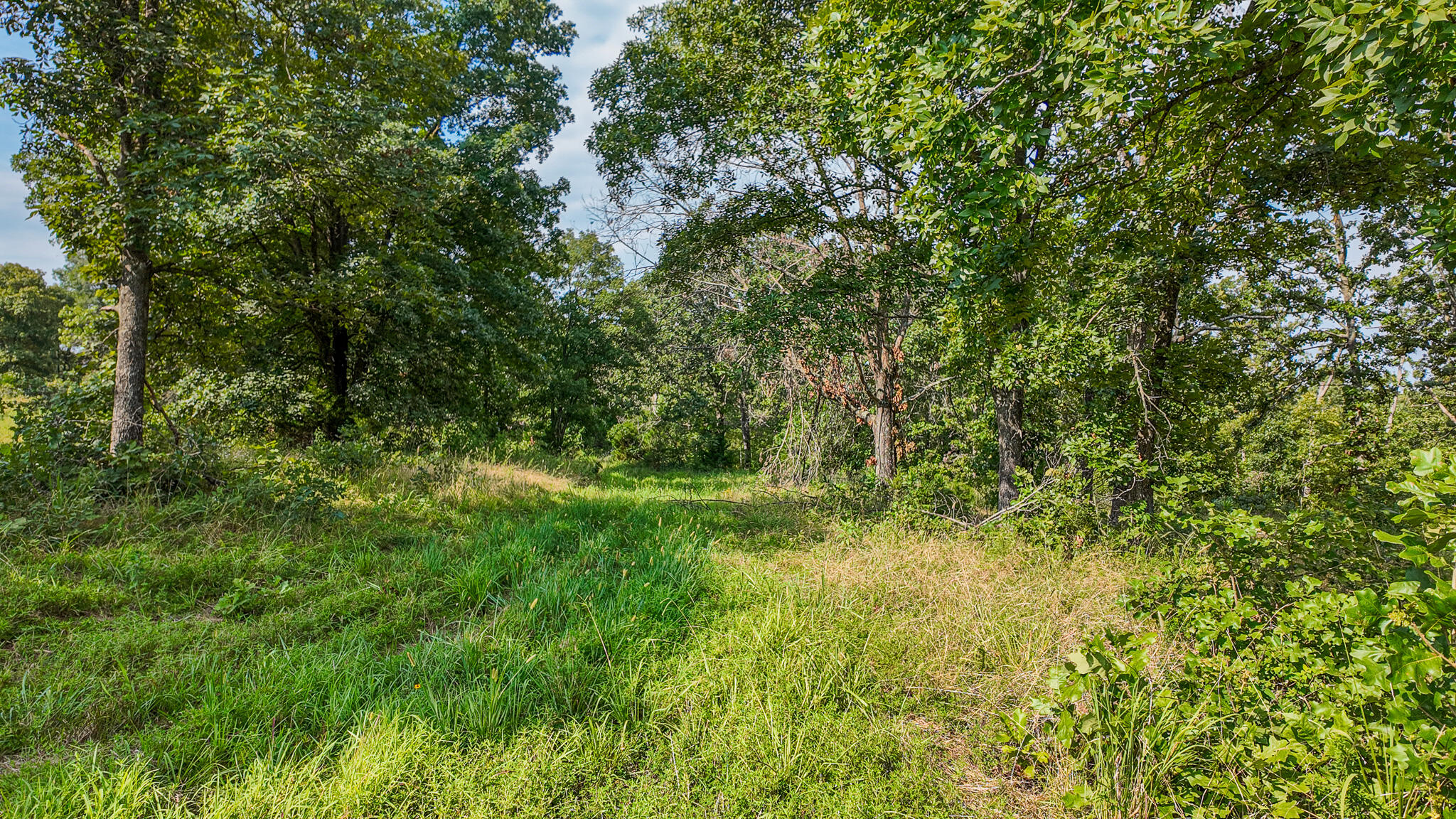 Photo 51 - Land for sale – 0000 NE 251 Road  Osceola, MO