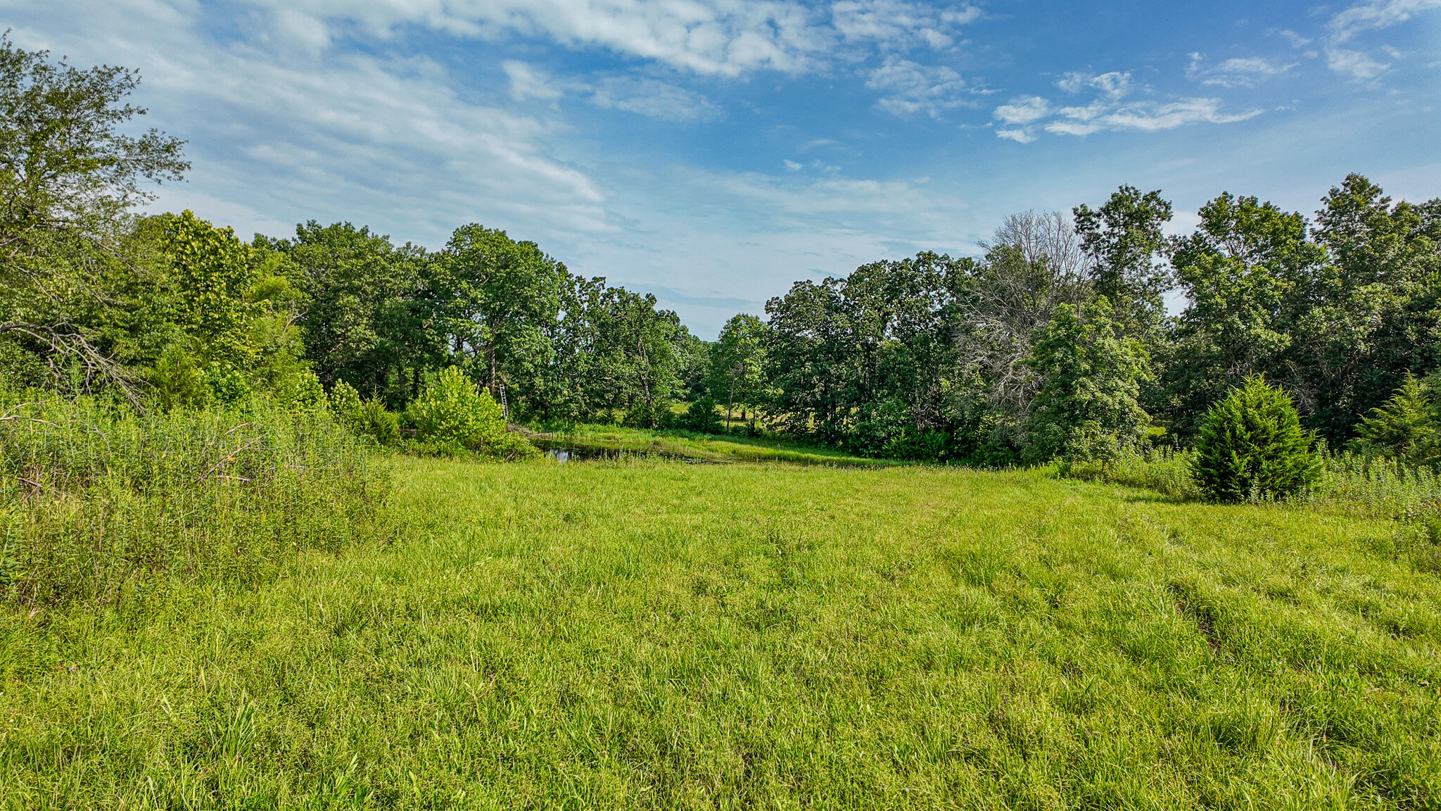 Photo 48 - Land for sale – 0000 NE 251 Road  Osceola, MO