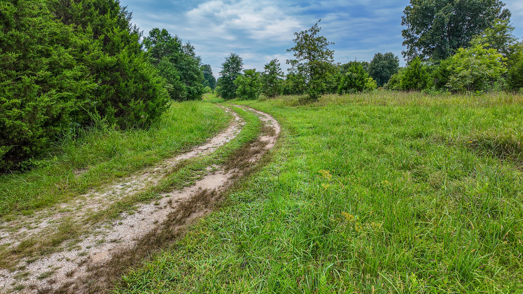 Photo 23 - Land for sale – 0000 NE 251 Road  Osceola, MO