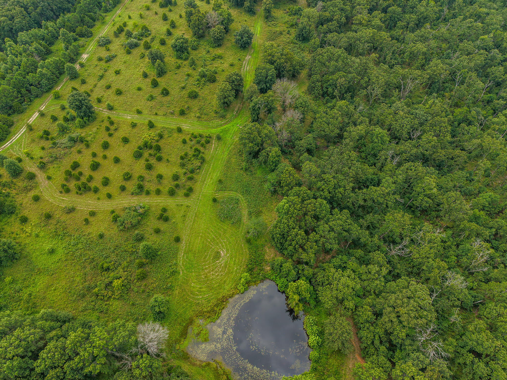 Photo 83 - Land for sale – 0000 NE 251 Road  Osceola, MO