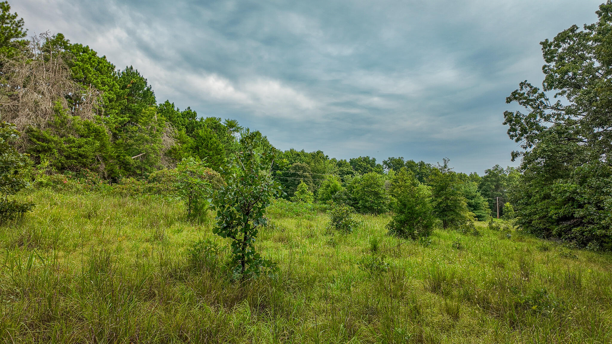 Photo 16 - Land for sale – 0000 NE 251 Road  Osceola, MO