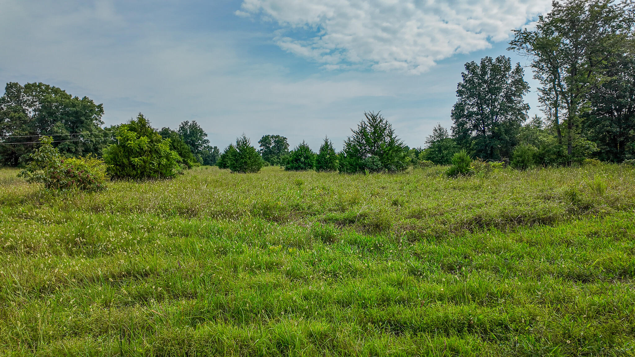 Photo 62 - Land for sale – 0000 NE 251 Road  Osceola, MO