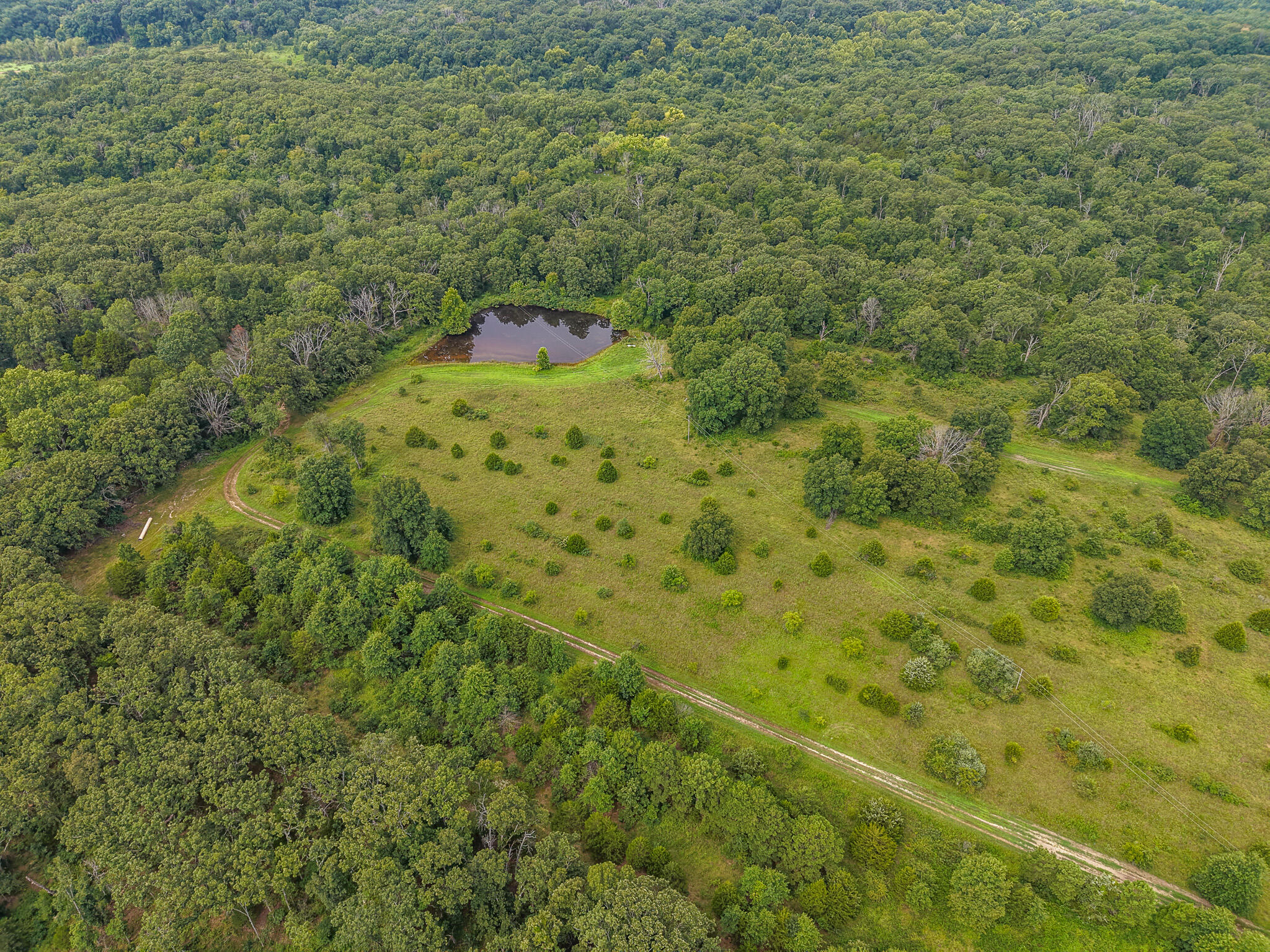 Photo 68 - Land for sale – 0000 NE 251 Road  Osceola, MO