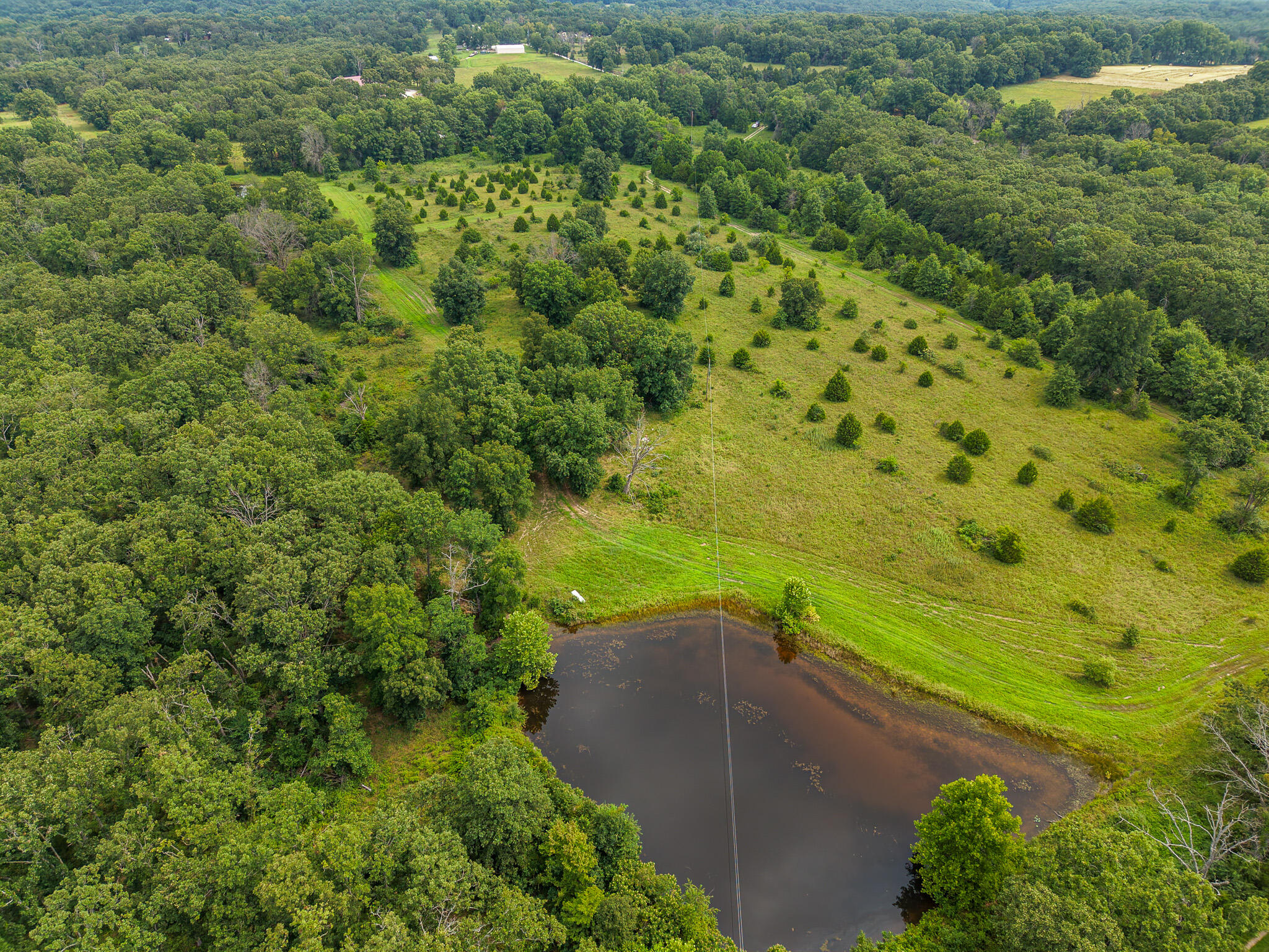 Photo 79 - Land for sale – 0000 NE 251 Road  Osceola, MO
