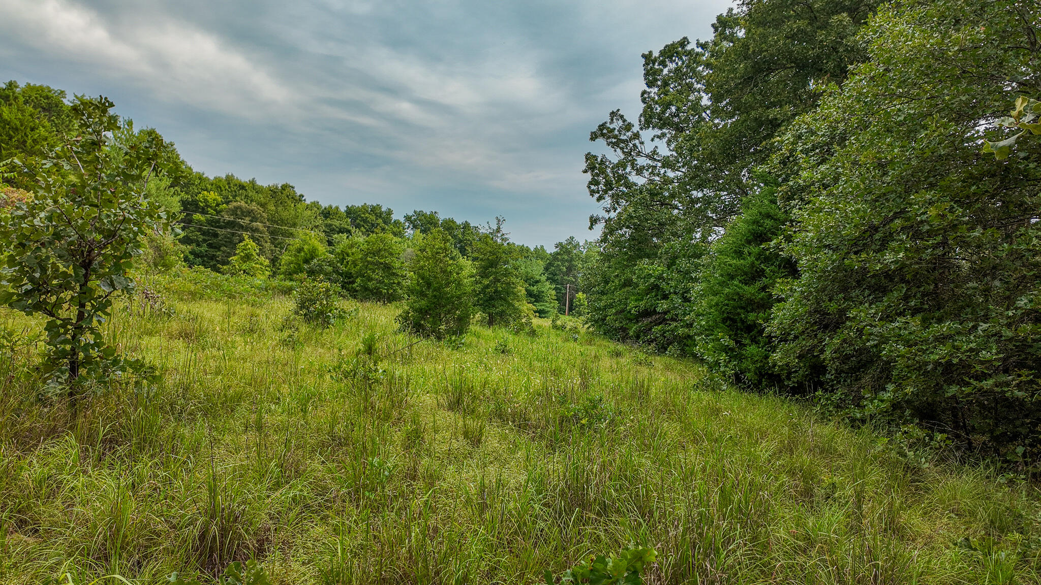Photo 17 - Land for sale – 0000 NE 251 Road  Osceola, MO