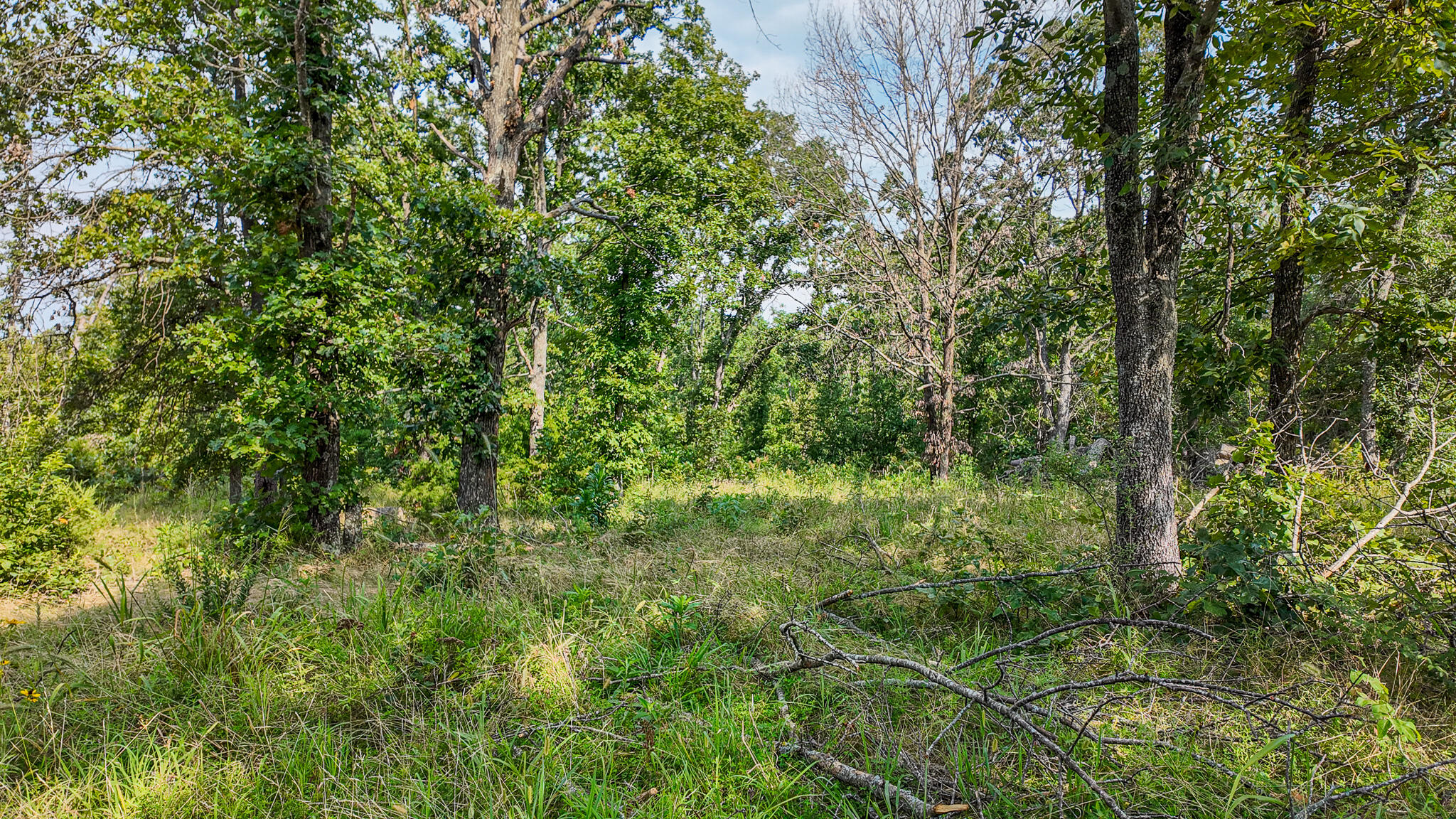 Photo 52 - Land for sale – 0000 NE 251 Road  Osceola, MO
