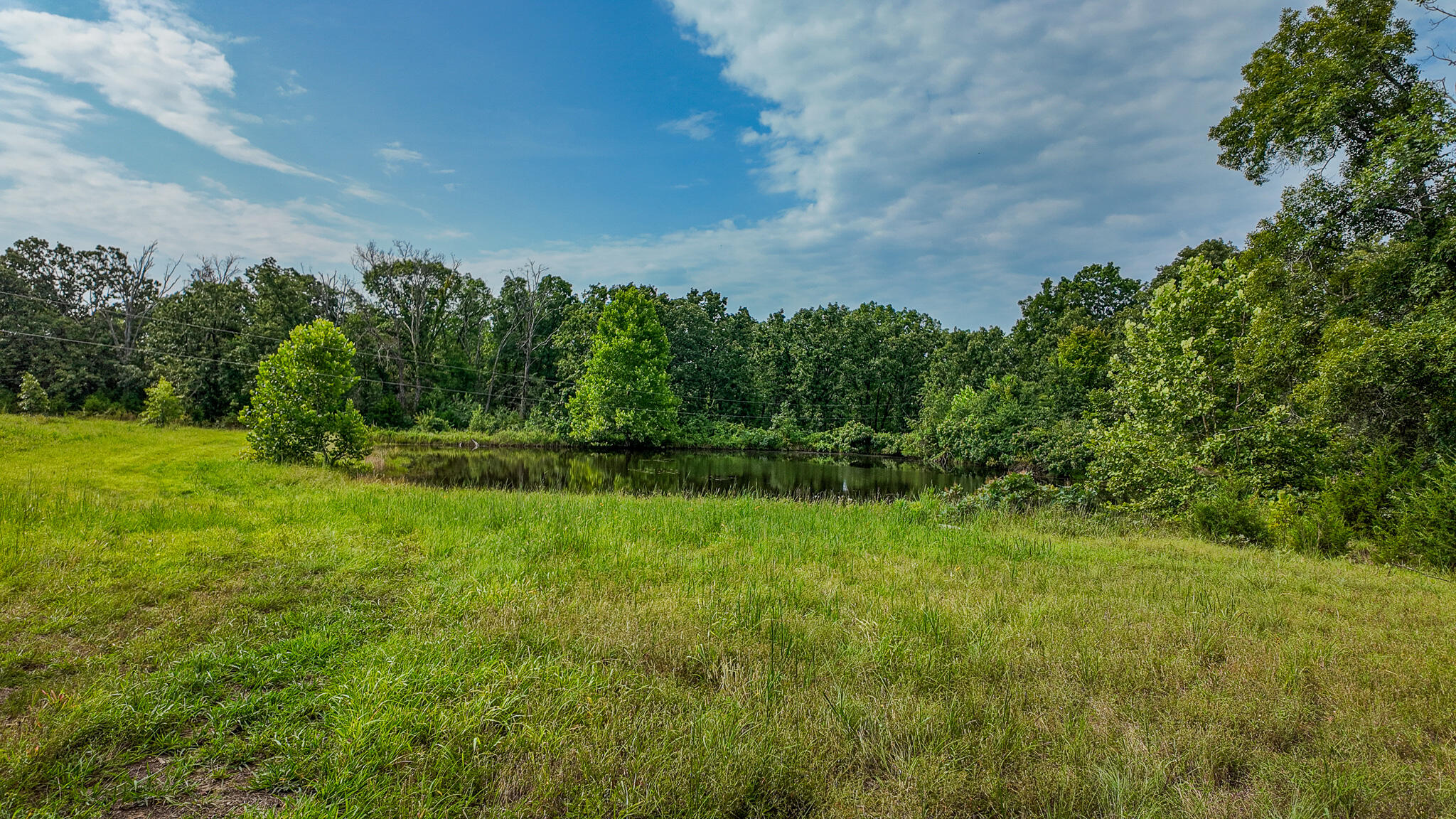 Photo 55 - Land for sale – 0000 NE 251 Road  Osceola, MO