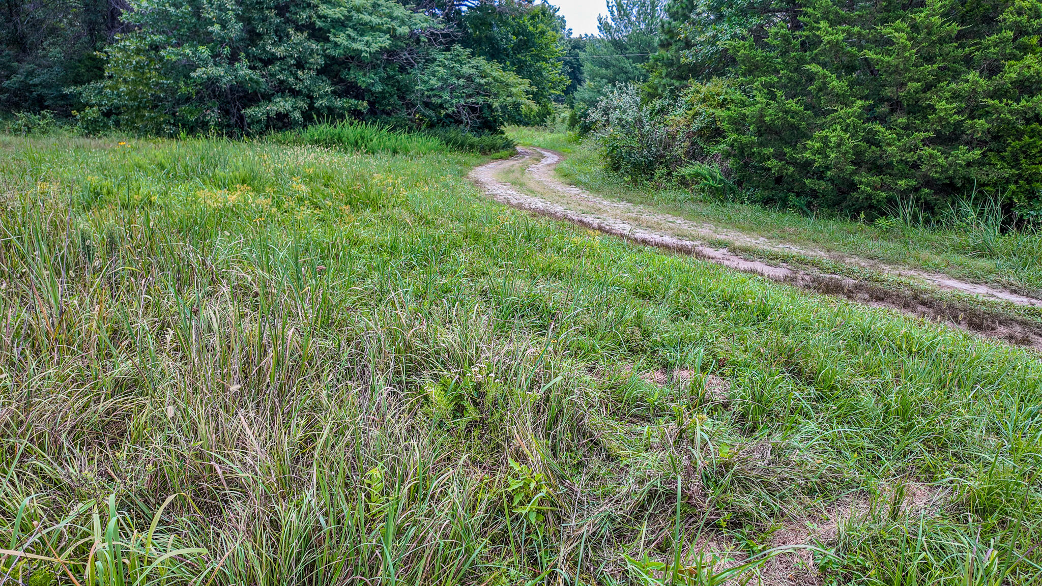 Photo 27 - Land for sale – 0000 NE 251 Road  Osceola, MO