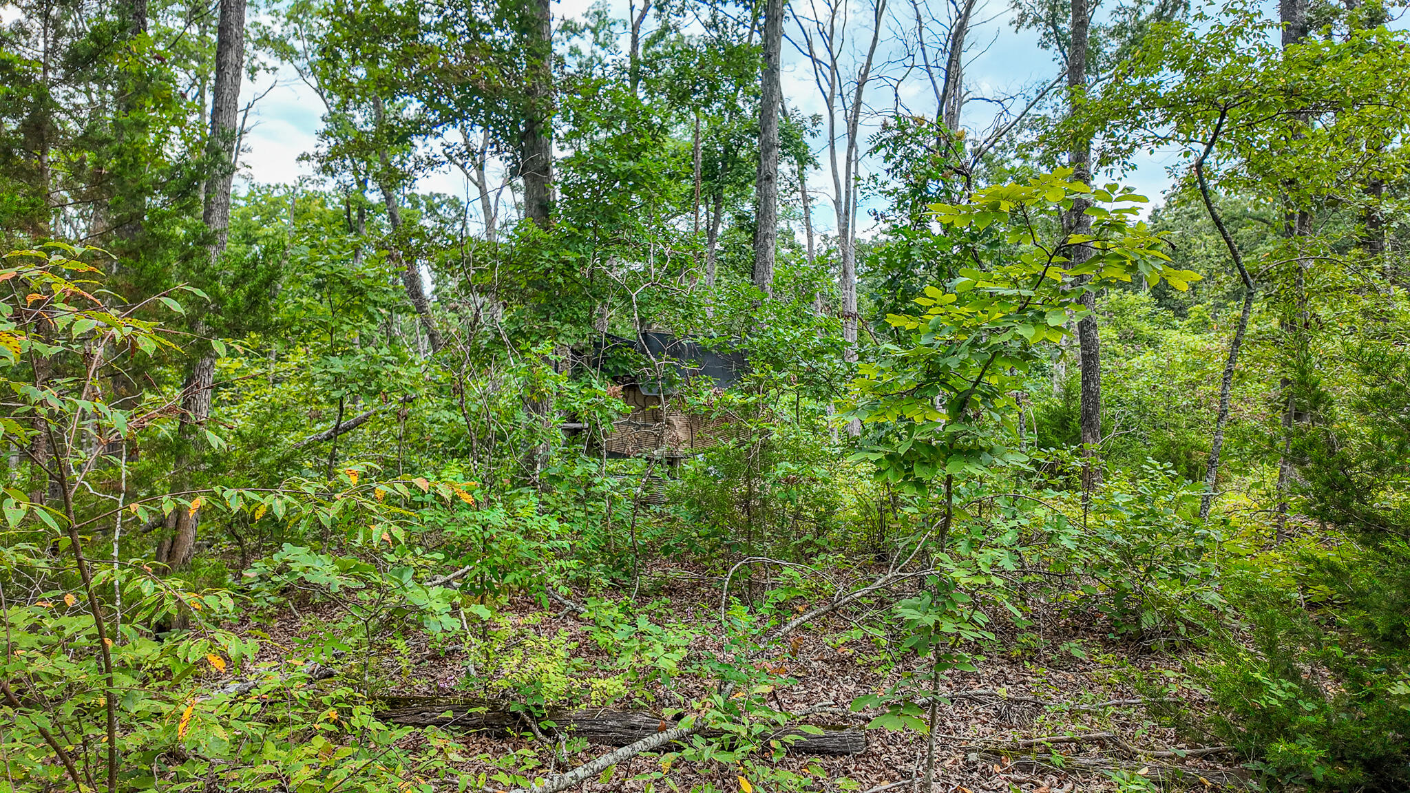 Photo 40 - Land for sale – 0000 NE 251 Road  Osceola, MO