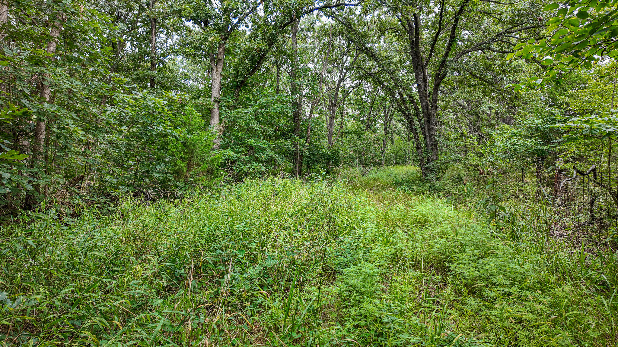 Photo 31 - Land for sale – 0000 NE 251 Road  Osceola, MO