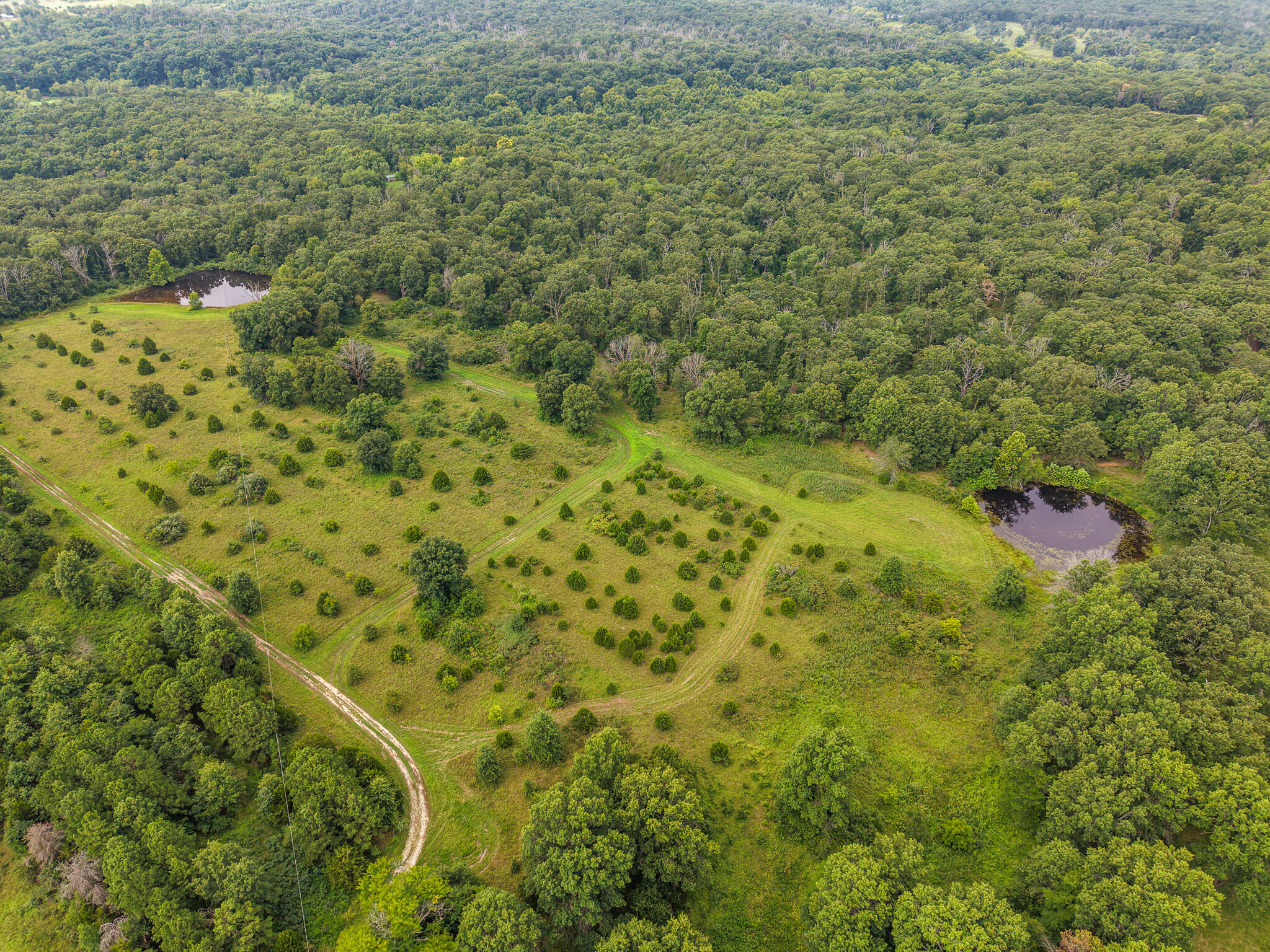 Photo 69 - Land for sale – 0000 NE 251 Road  Osceola, MO