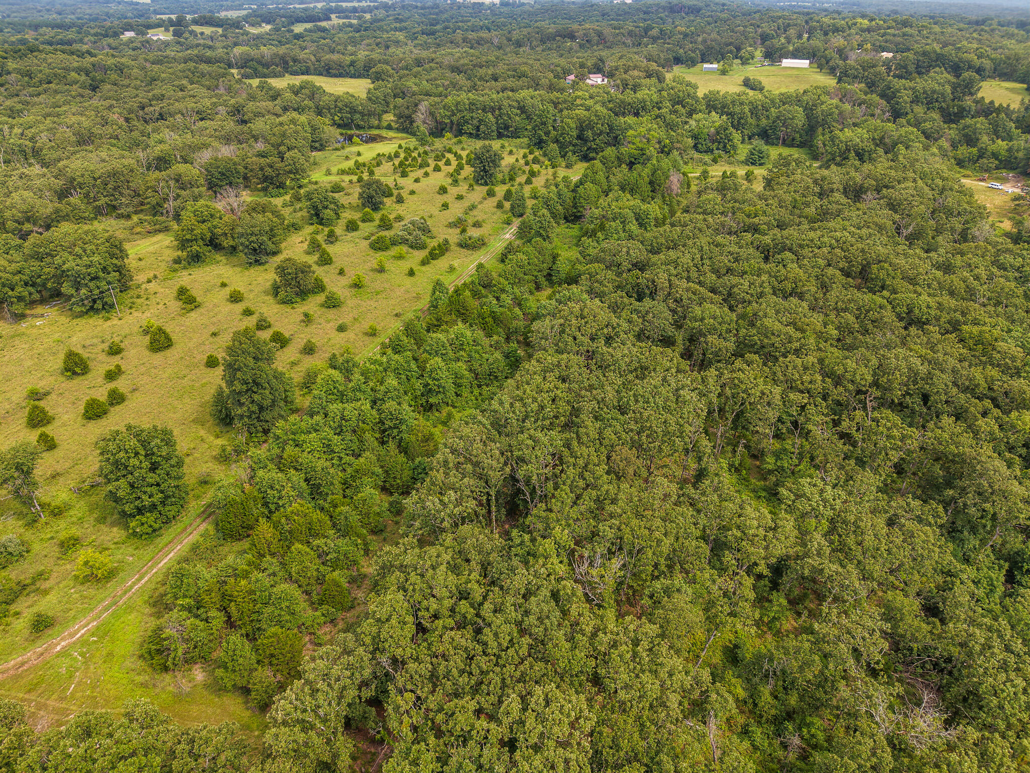 Photo 81 - Land for sale – 0000 NE 251 Road  Osceola, MO