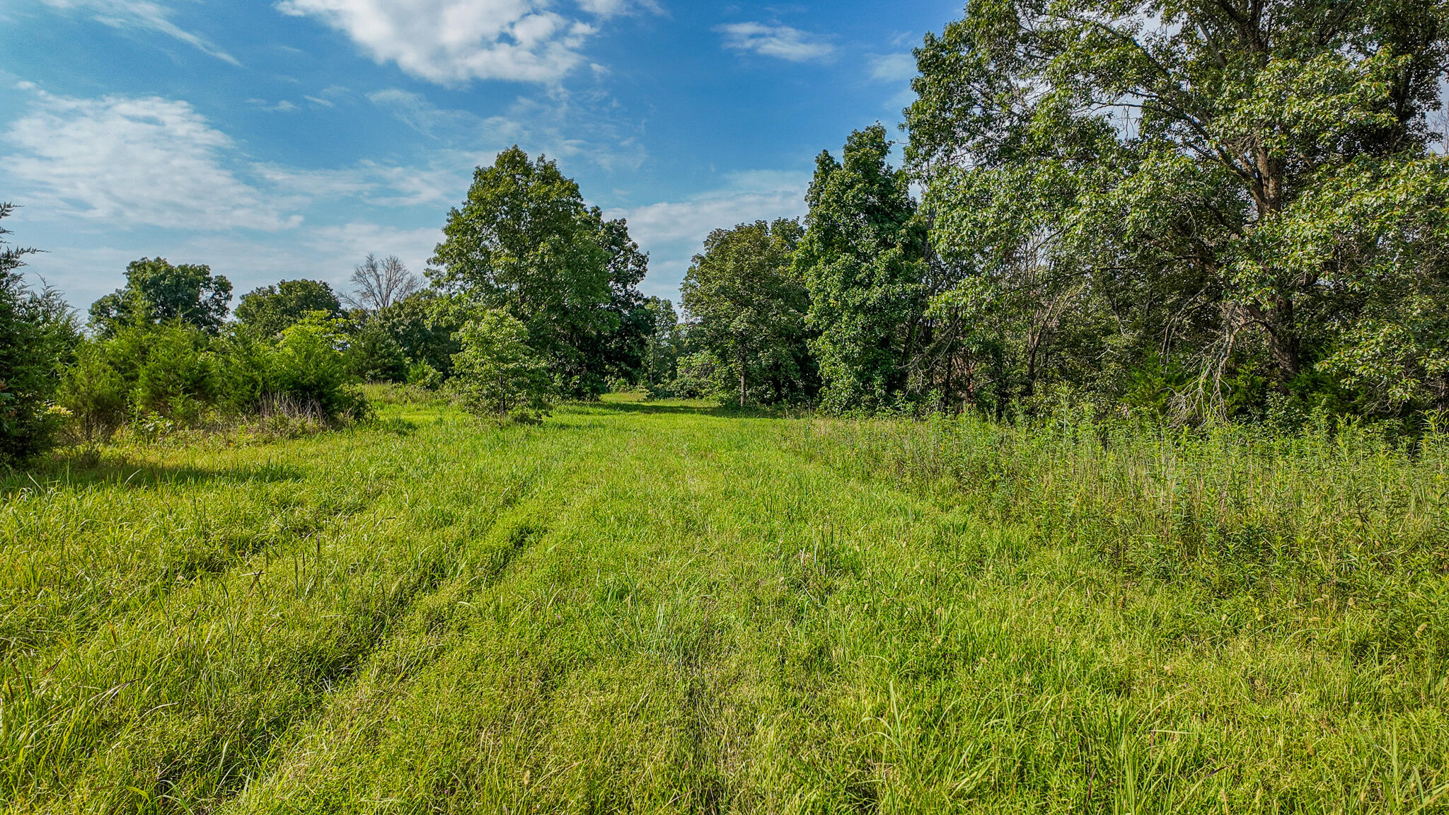 Photo 49 - Land for sale – 0000 NE 251 Road  Osceola, MO
