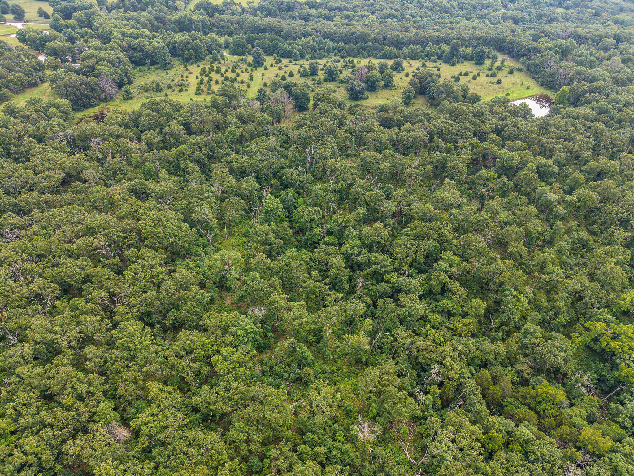 Photo 74 - Land for sale – 0000 NE 251 Road  Osceola, MO