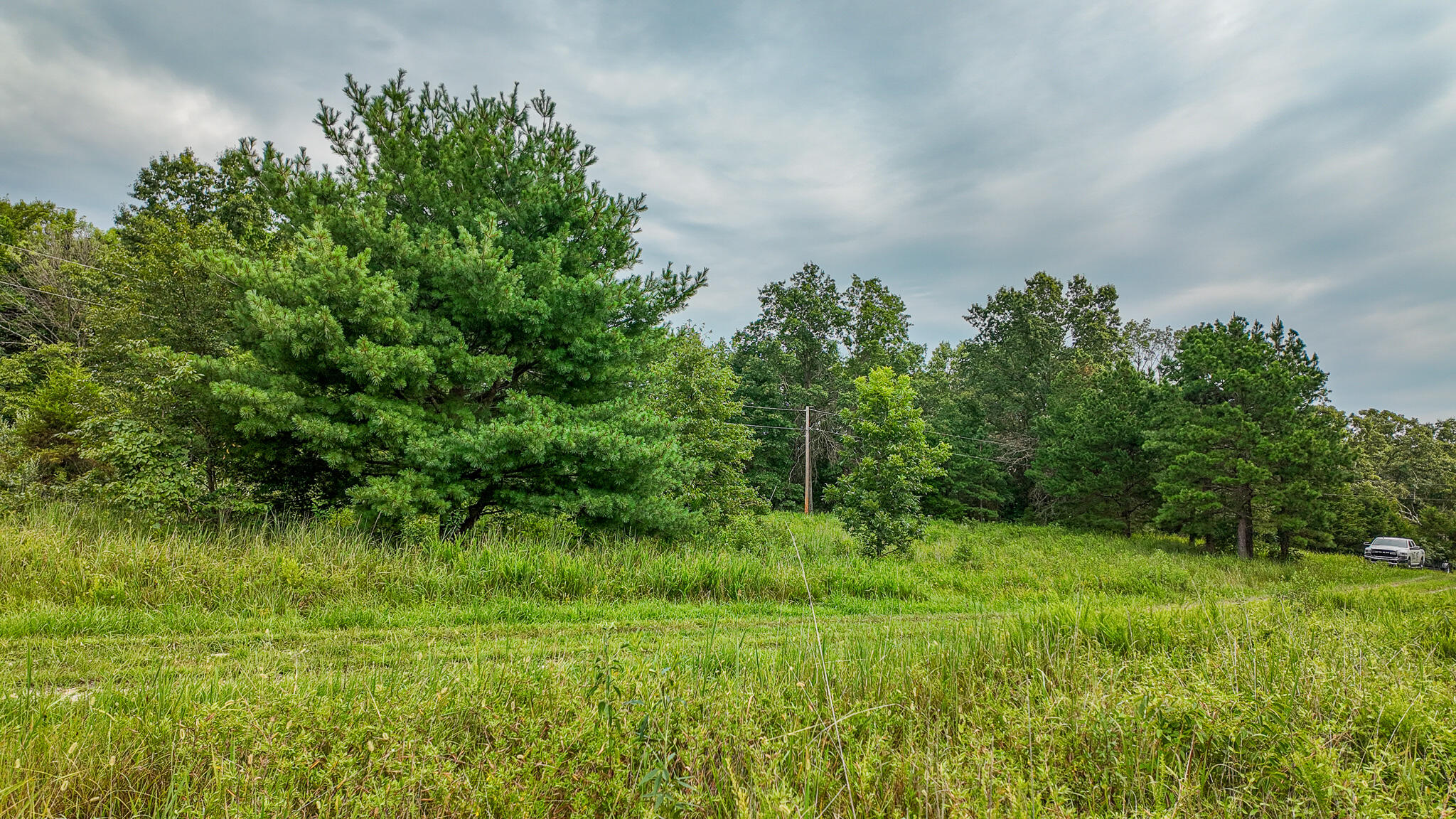 Photo 19 - Land for sale – 0000 NE 251 Road  Osceola, MO
