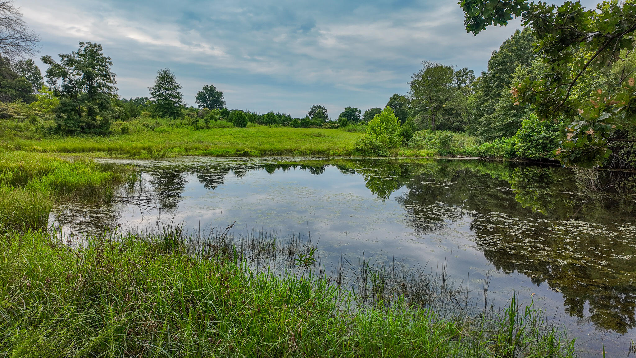 Photo 5 - Land for sale – 0000 NE 251 Road  Osceola, MO