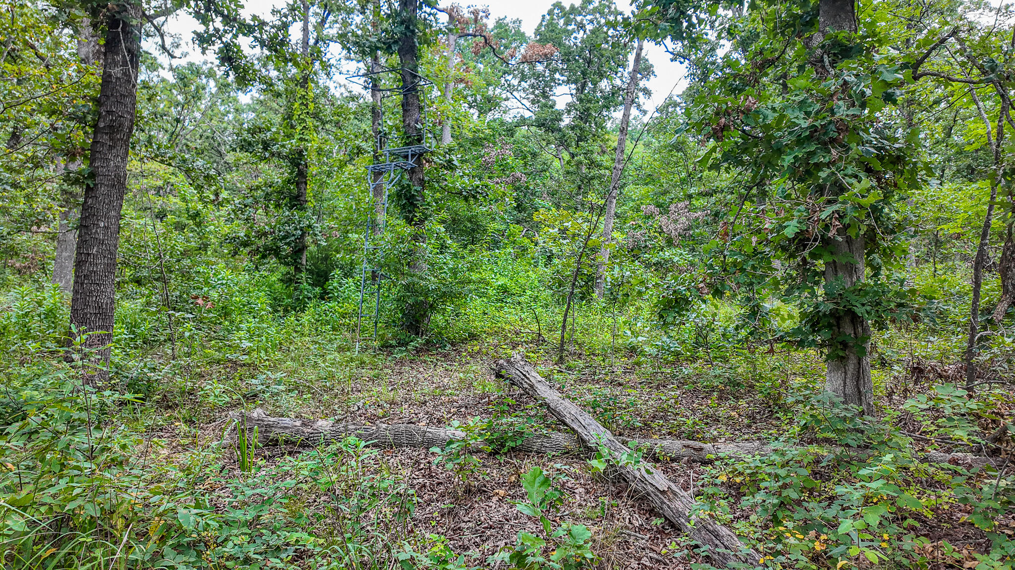 Photo 45 - Land for sale – 0000 NE 251 Road  Osceola, MO