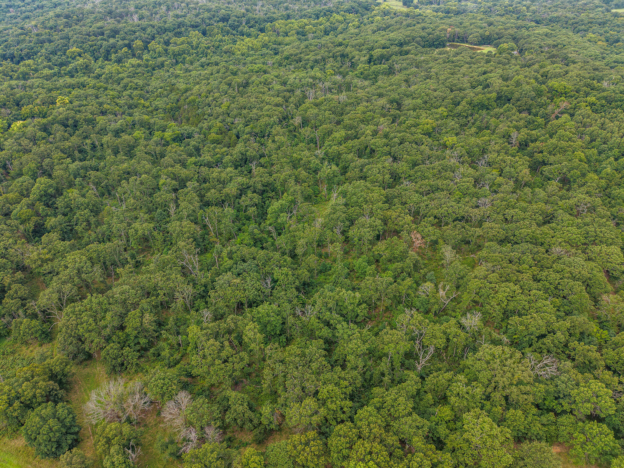 Photo 70 - Land for sale – 0000 NE 251 Road  Osceola, MO