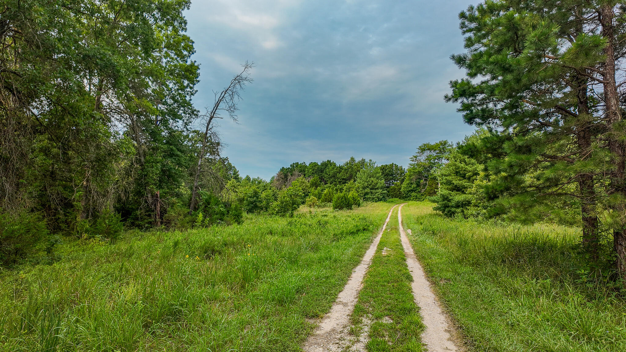 Photo 11 - Land for sale – 0000 NE 251 Road  Osceola, MO