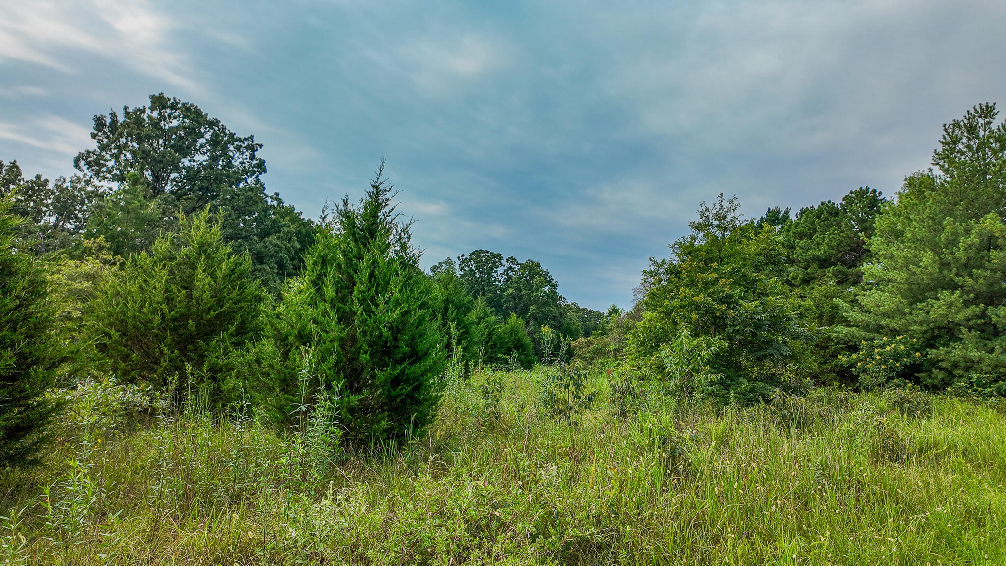 Photo 14 - Land for sale – 0000 NE 251 Road  Osceola, MO
