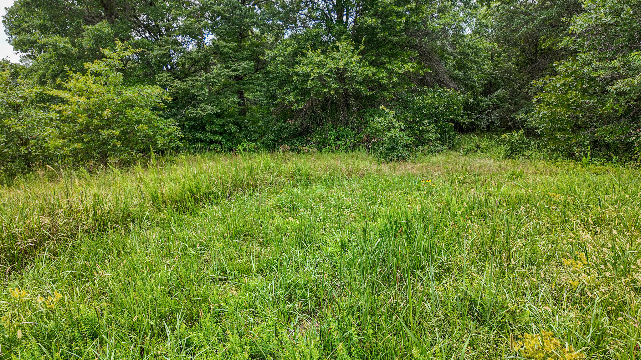 Photo 25 - Land for sale – 0000 NE 251 Road  Osceola, MO