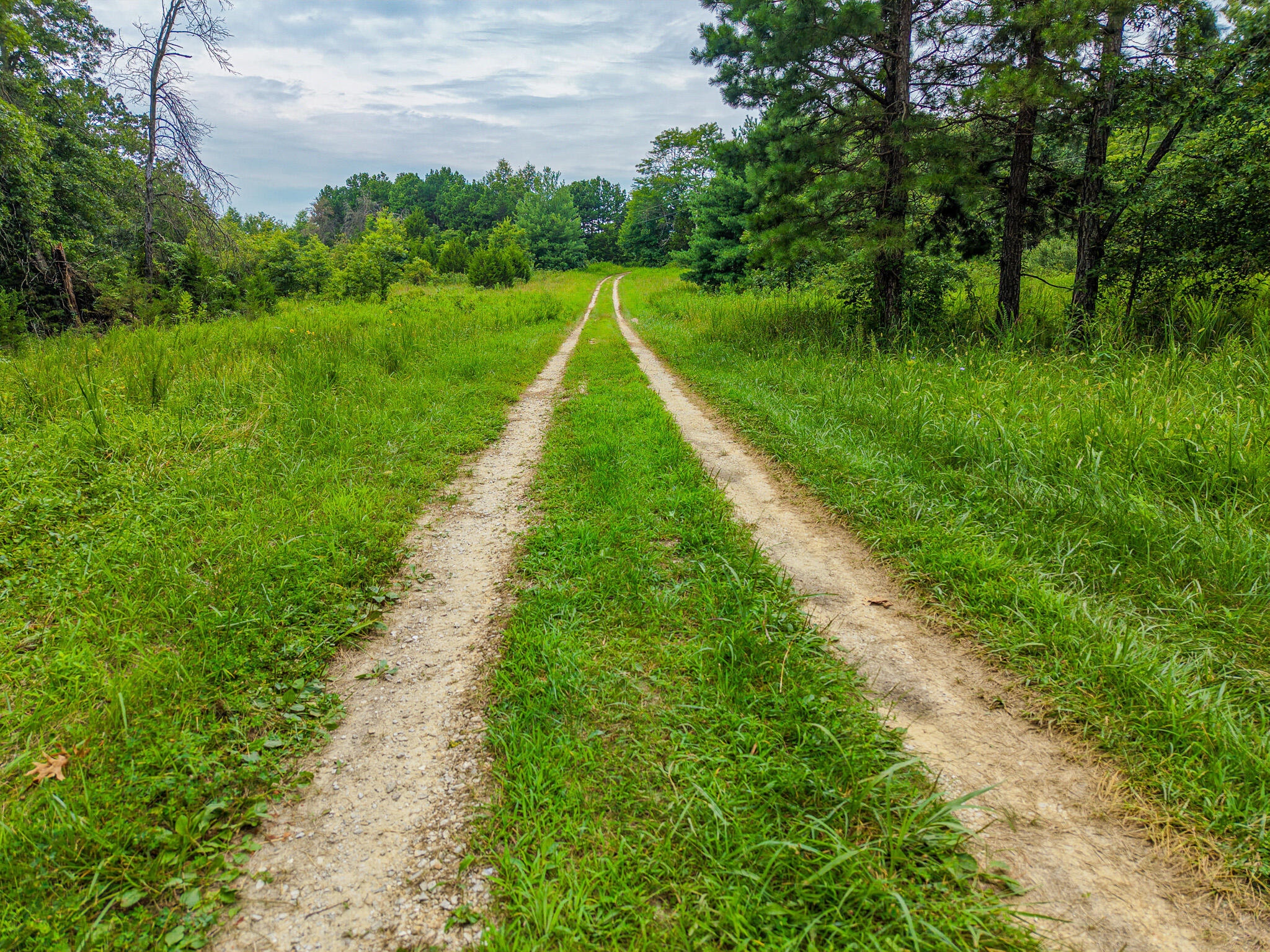 Photo 85 - Land for sale – 0000 NE 251 Road  Osceola, MO