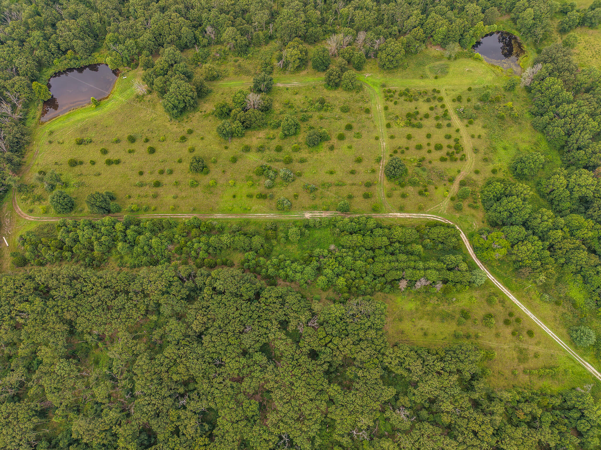 Land for sale – 0000 NE 251 Road  Osceola, MO