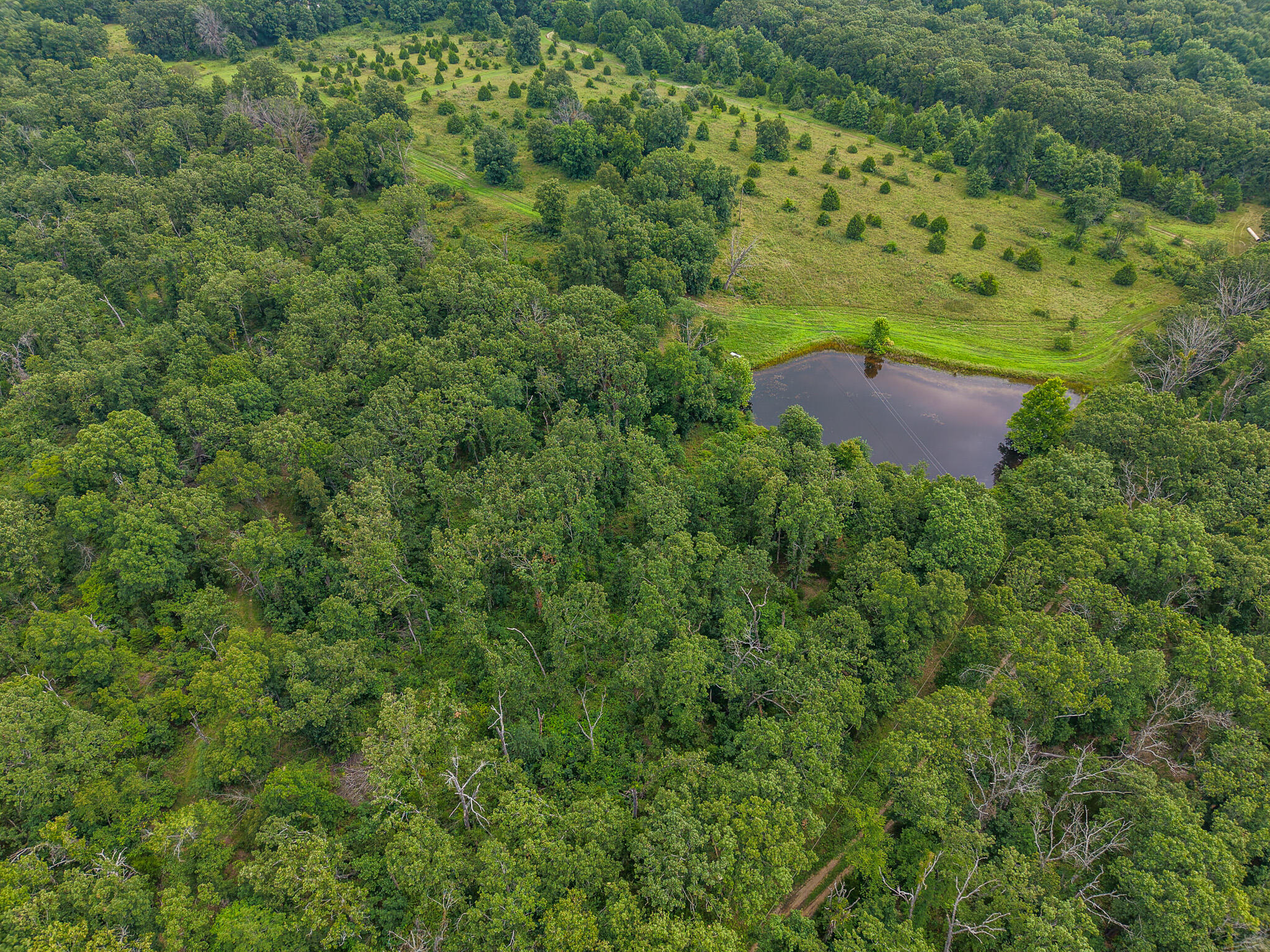Photo 76 - Land for sale – 0000 NE 251 Road  Osceola, MO