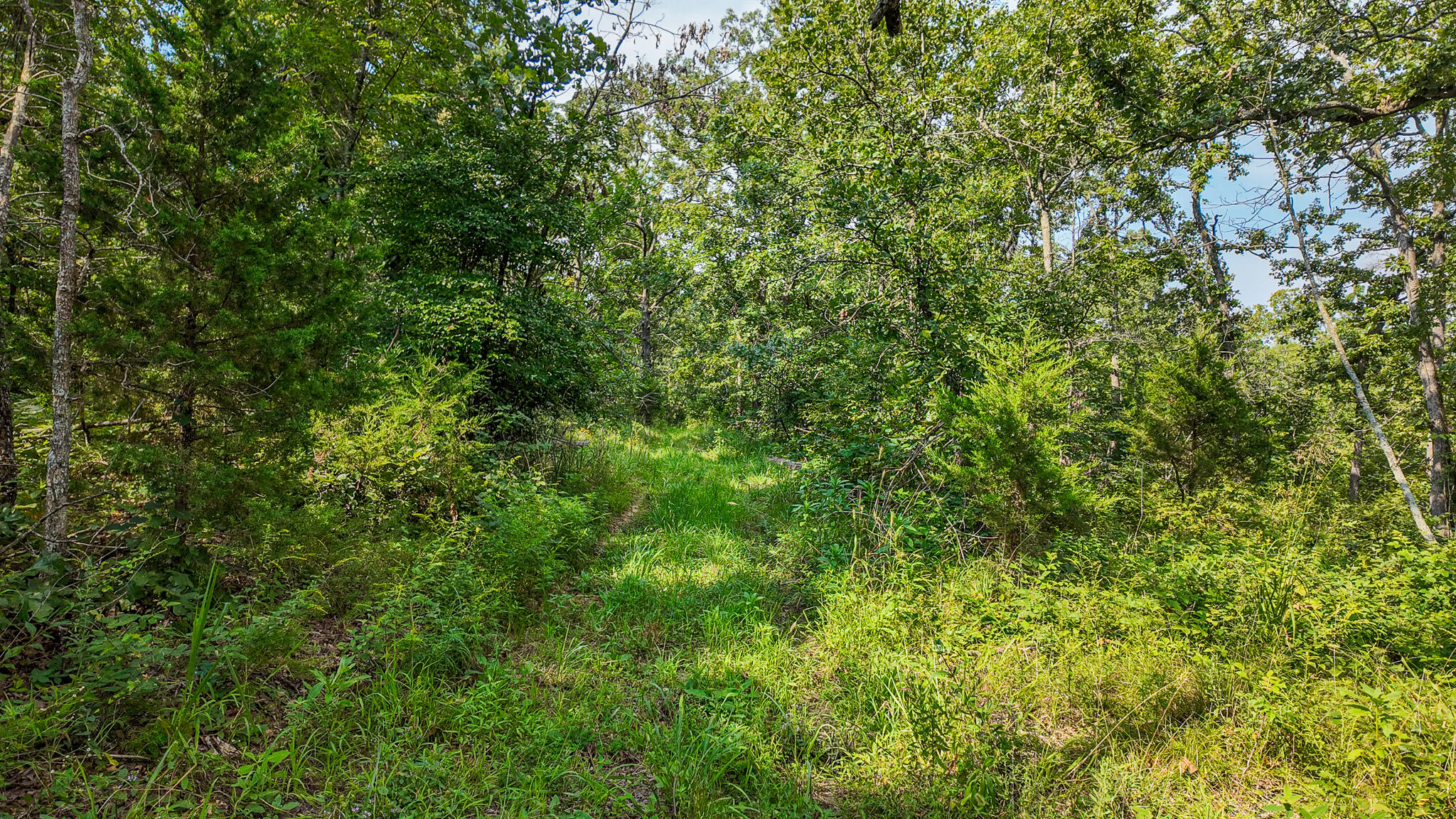 Photo 53 - Land for sale – 0000 NE 251 Road  Osceola, MO