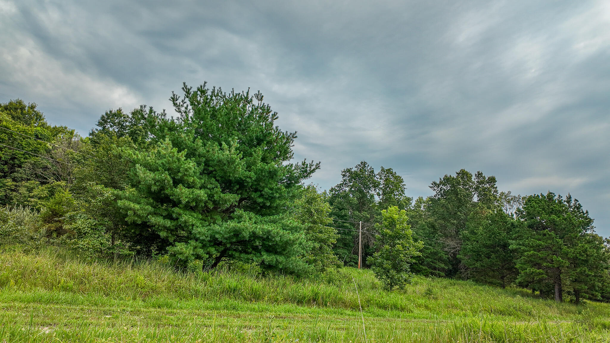 Photo 18 - Land for sale – 0000 NE 251 Road  Osceola, MO
