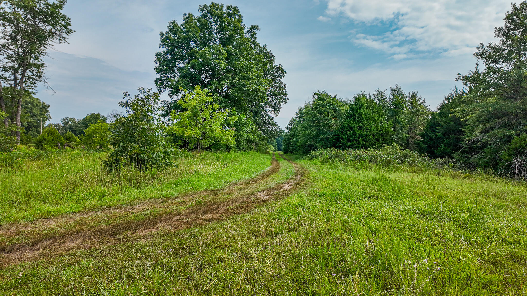 Photo 63 - Land for sale – 0000 NE 251 Road  Osceola, MO