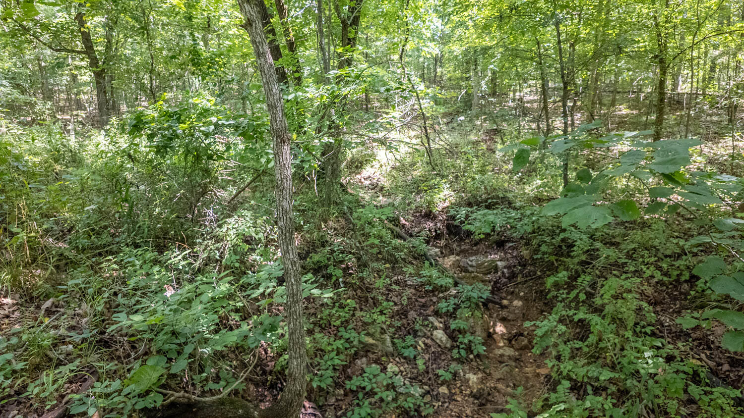 Photo 8 - Land for sale – Tract 3  Upper Janes Creek Road  Ravenden, AR