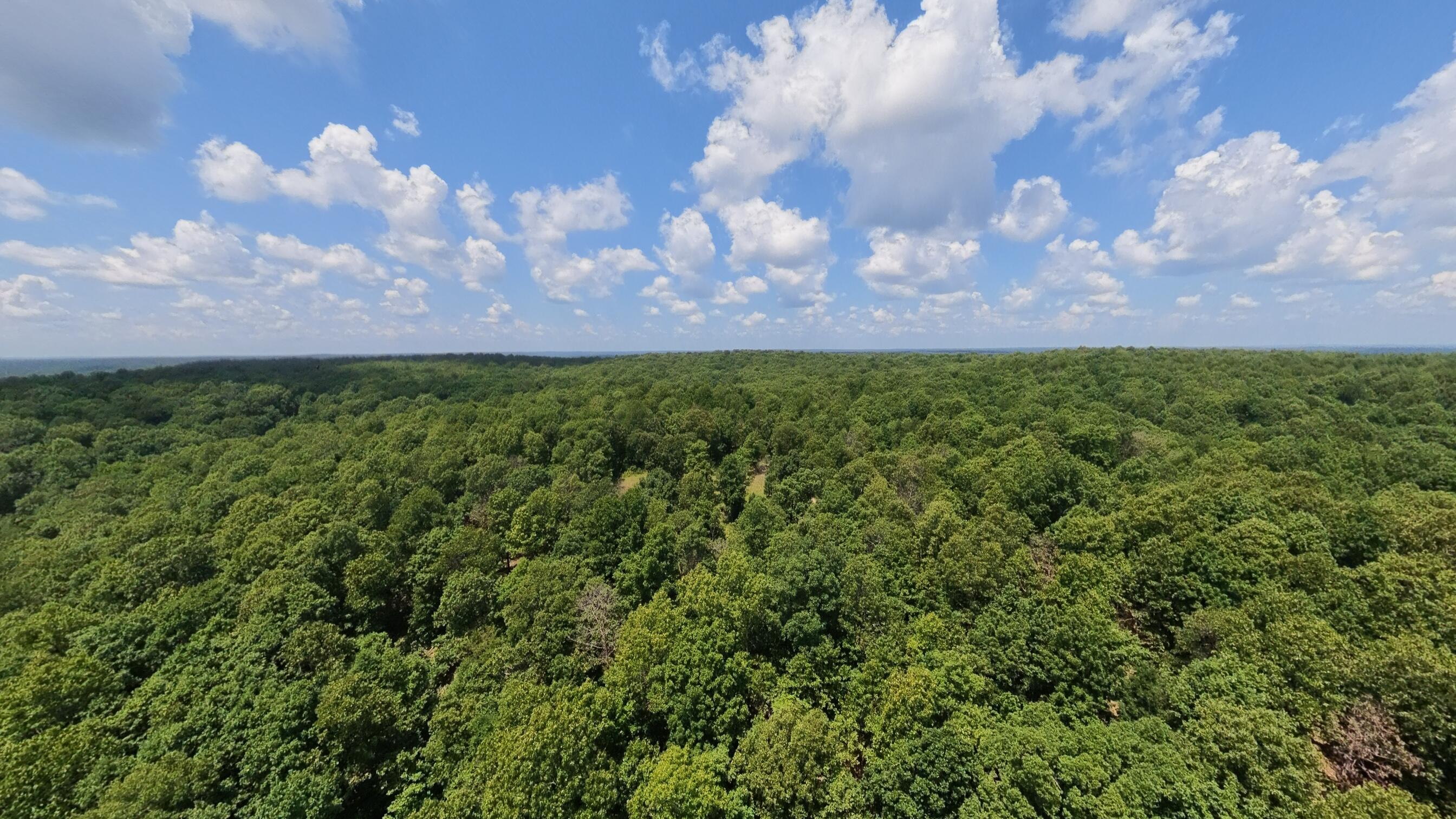 Photo 18 - Land for sale – Tract 3  Upper Janes Creek Road  Ravenden, AR