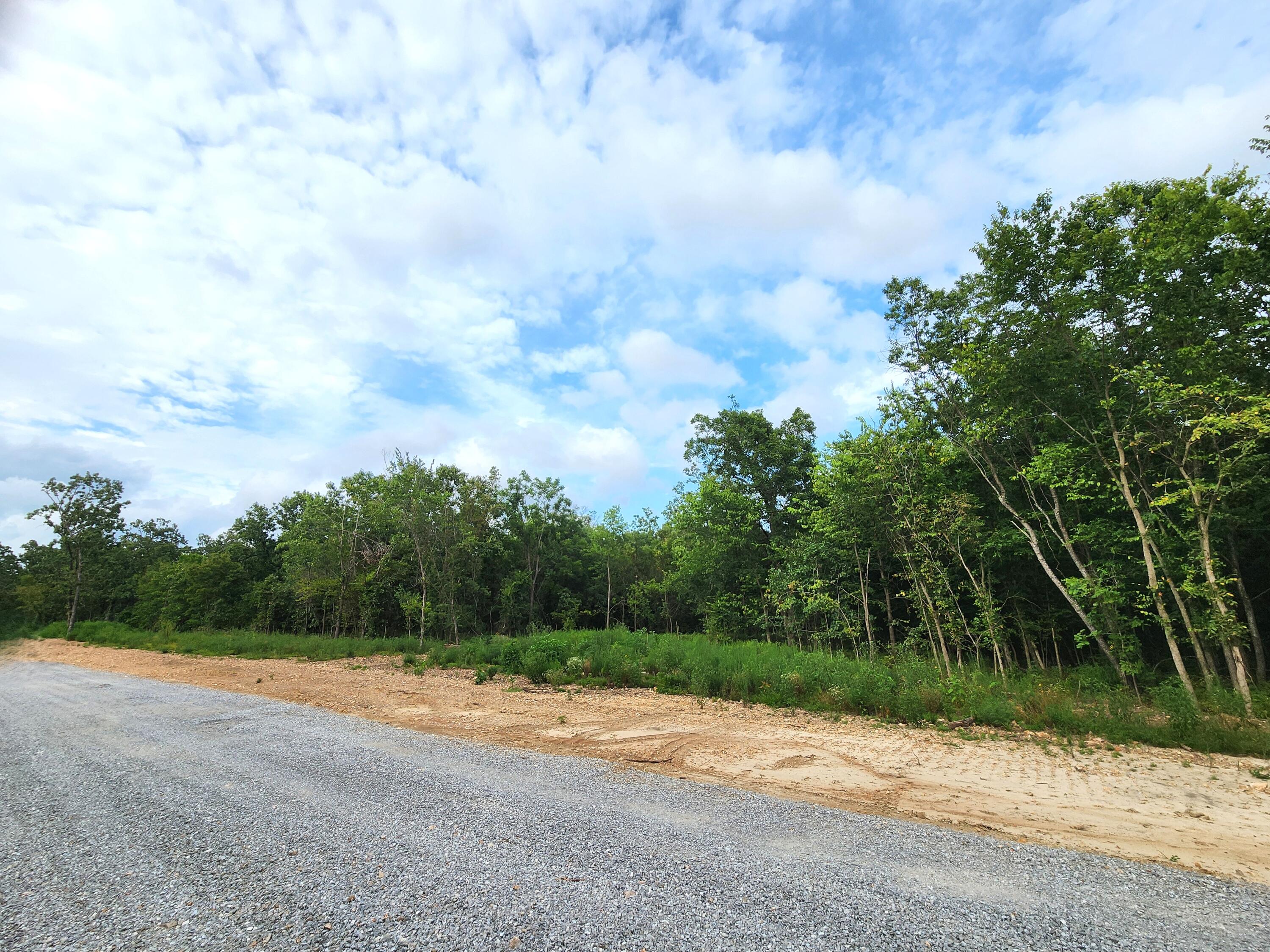 Photo 3 - Land for sale – 2061  Jericho Lane  Joplin, MO