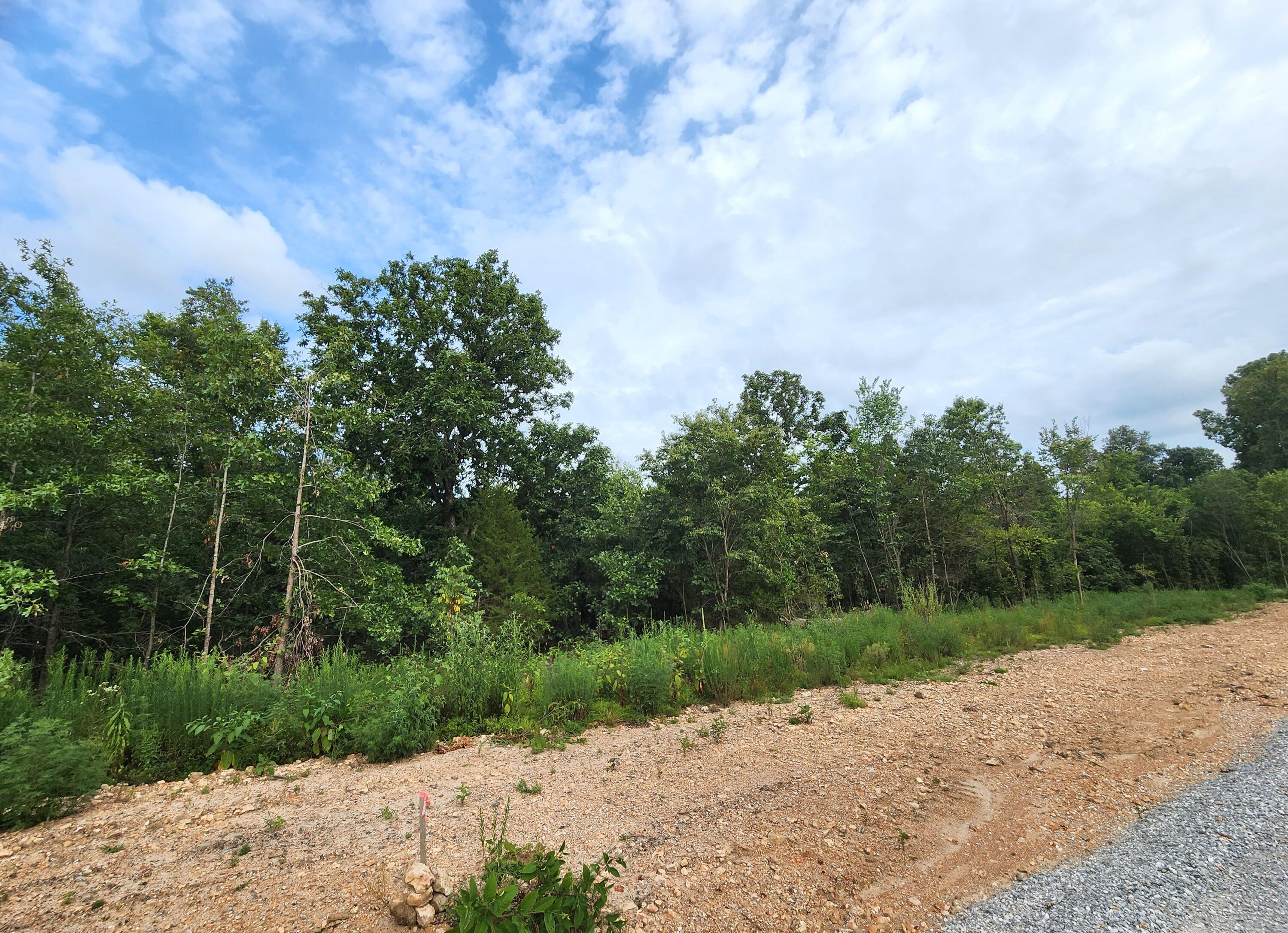 Photo 4 - Land for sale – 2061  Jericho Lane  Joplin, MO