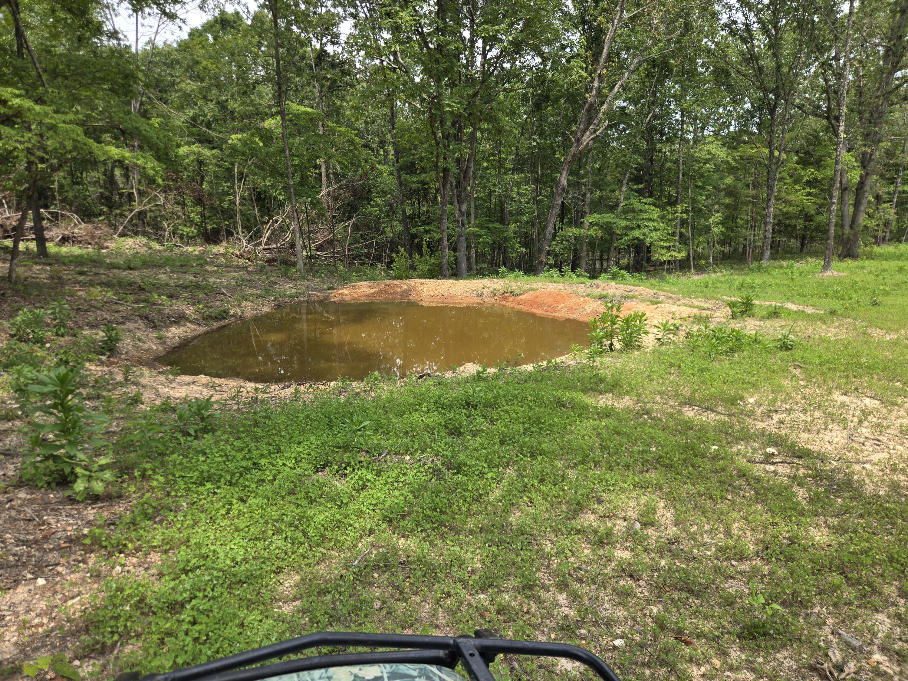Photo 22 - Land for sale – 000  76-126   Norwood, MO