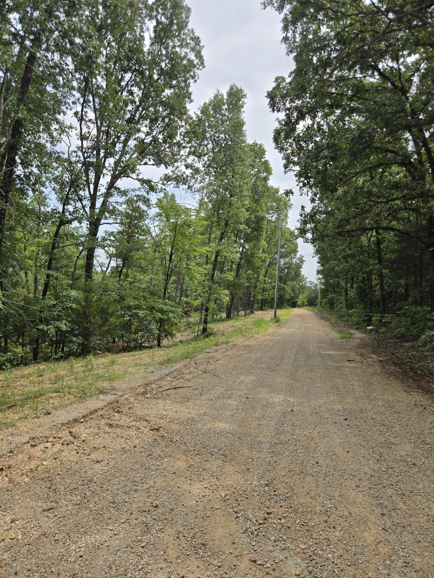 Photo 14 - Land for sale – 000  76-126   Norwood, MO