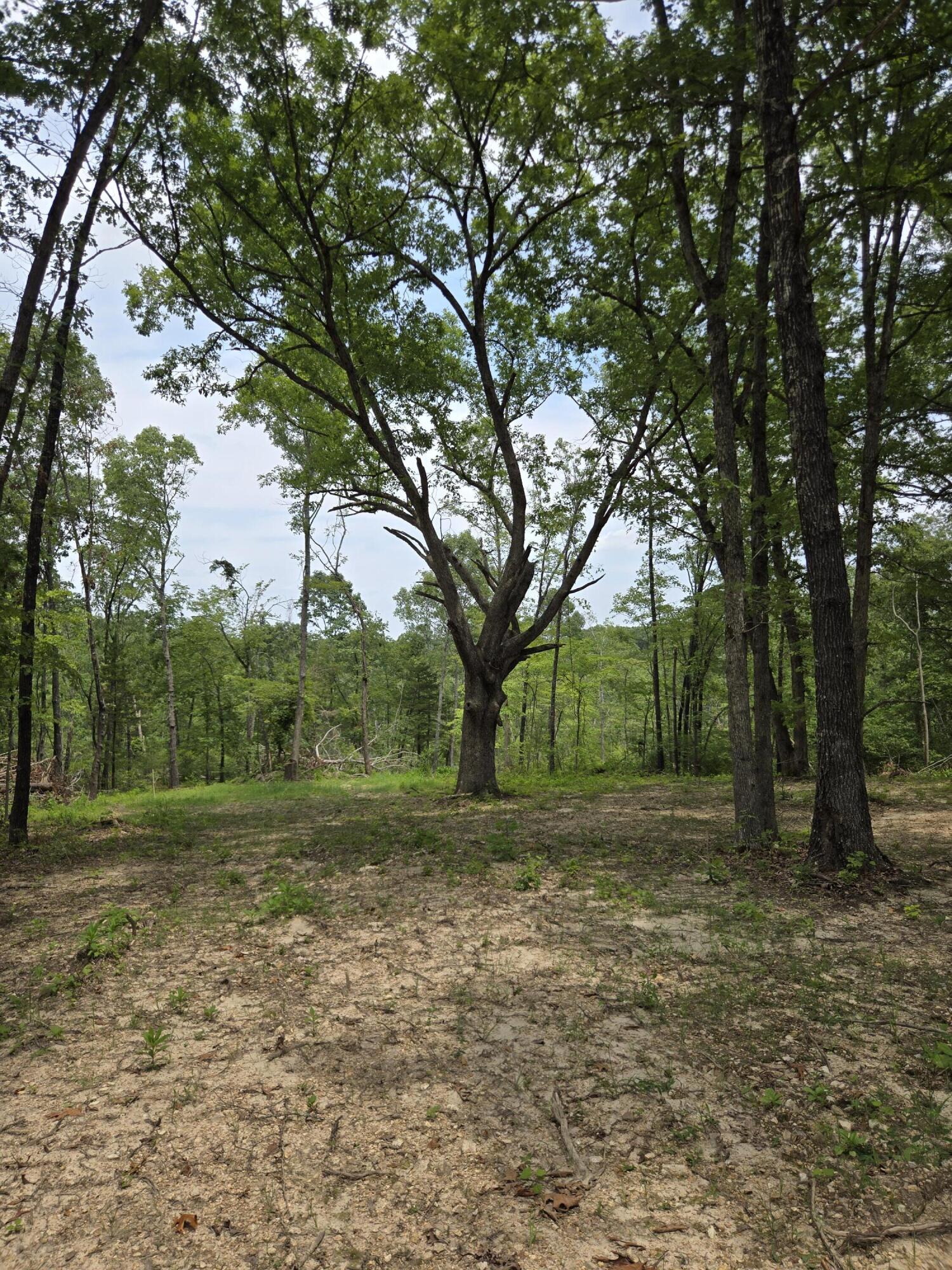 Photo 28 - Land for sale – 000  76-126   Norwood, MO
