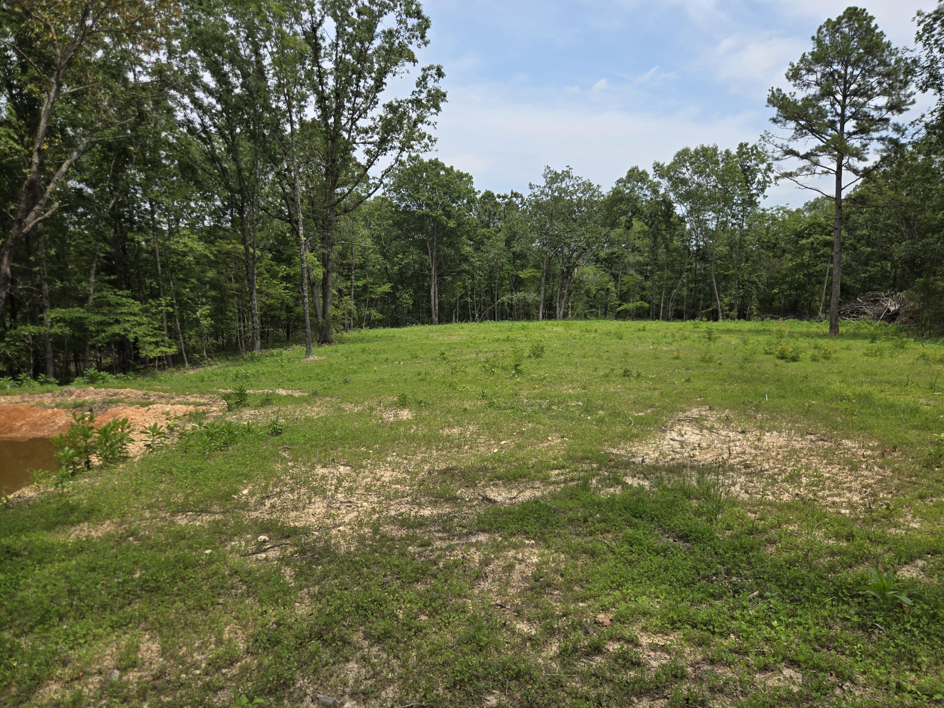 Photo 23 - Land for sale – 000  76-126   Norwood, MO