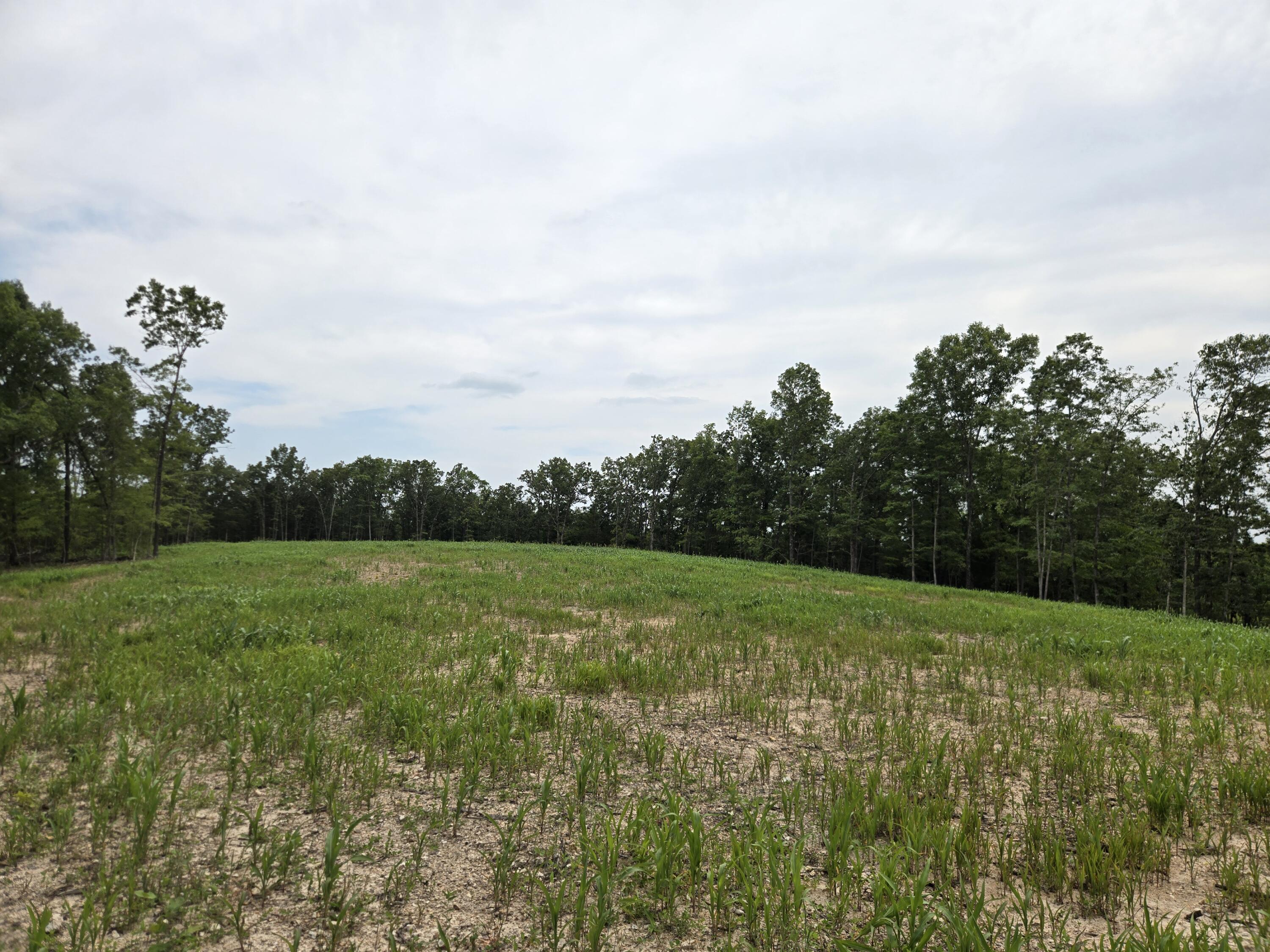 Photo 11 - Land for sale – 000  76-126   Norwood, MO
