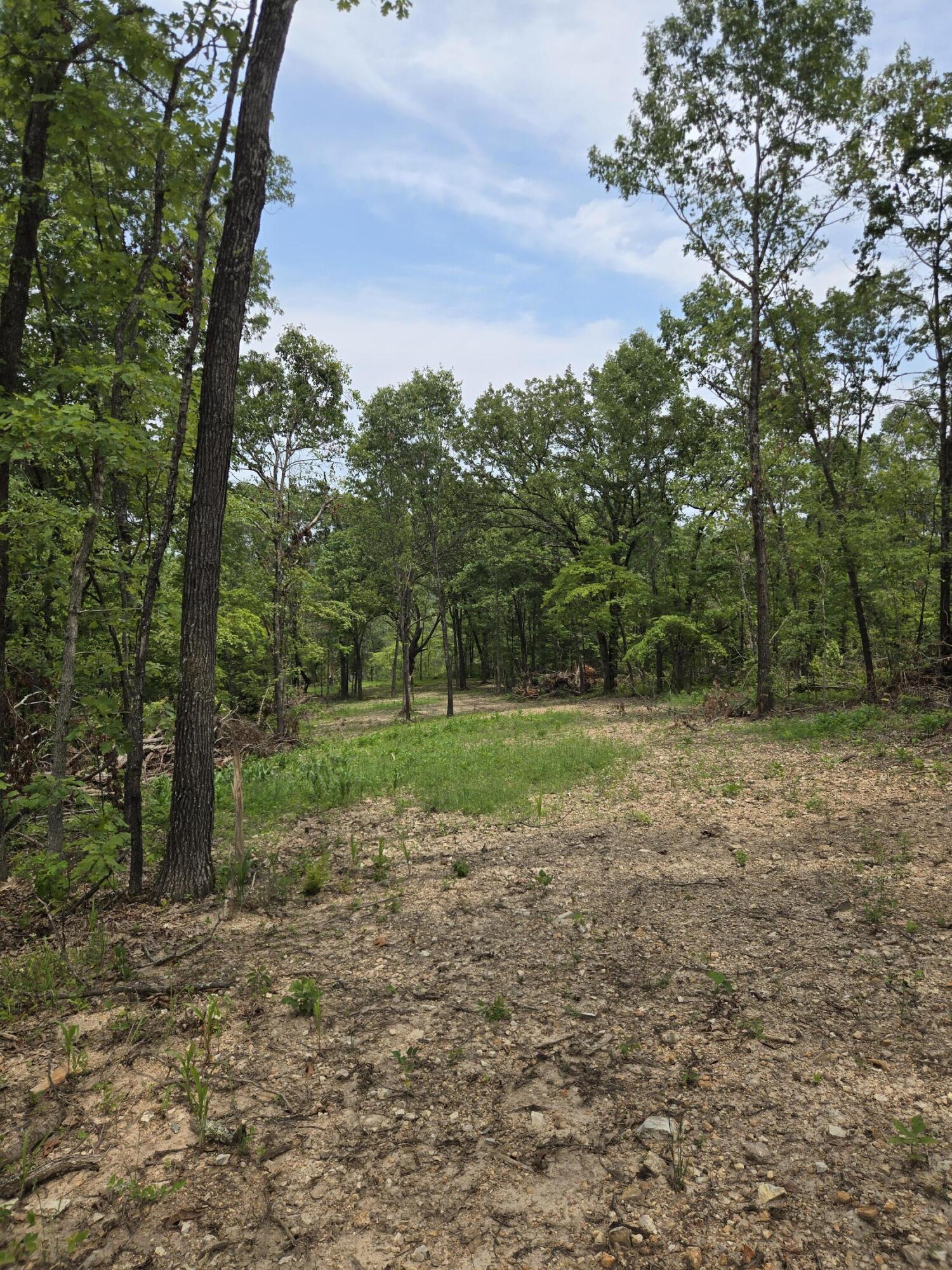 Photo 32 - Land for sale – 000  76-126   Norwood, MO