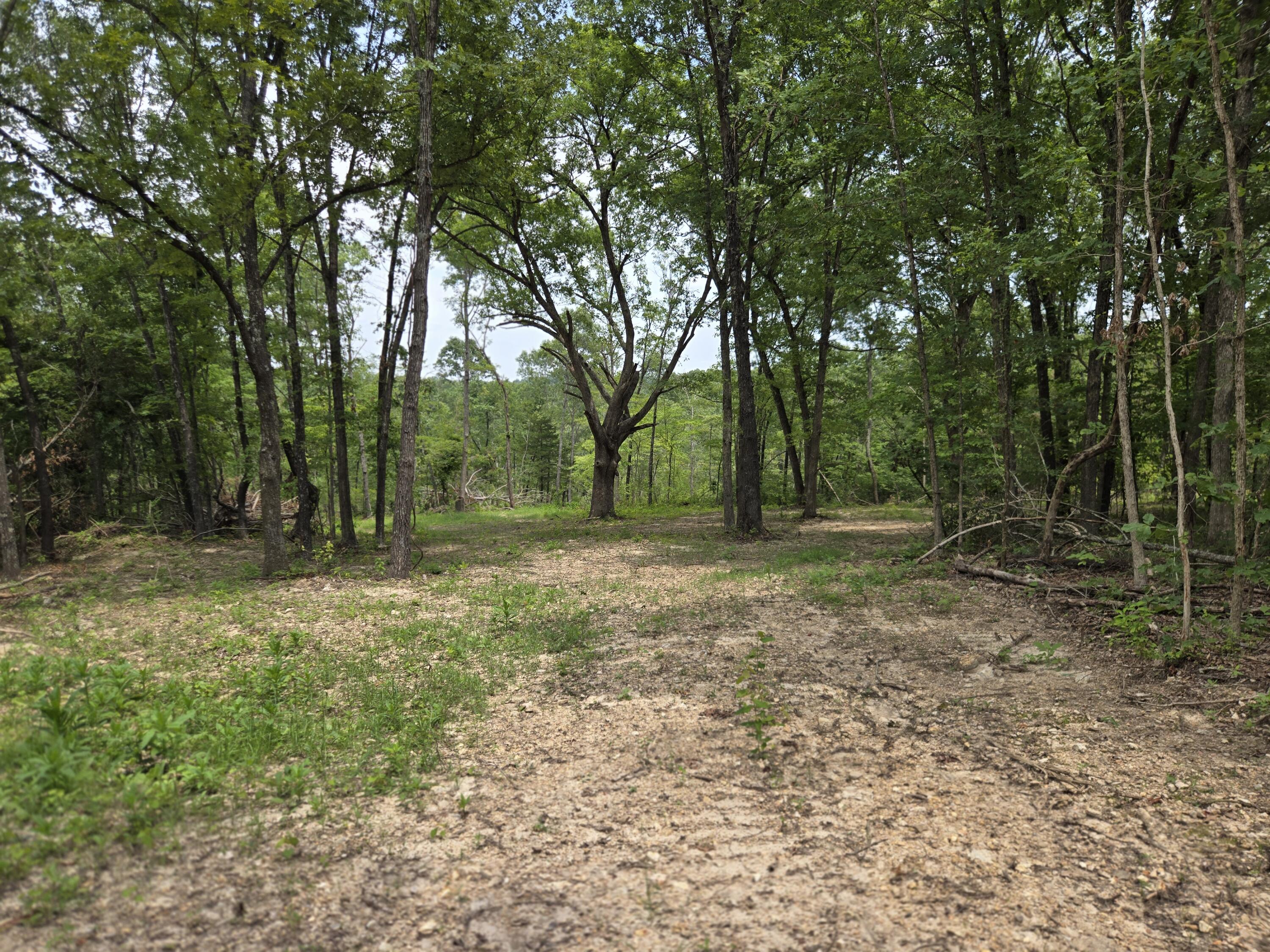 Photo 29 - Land for sale – 000  76-126   Norwood, MO