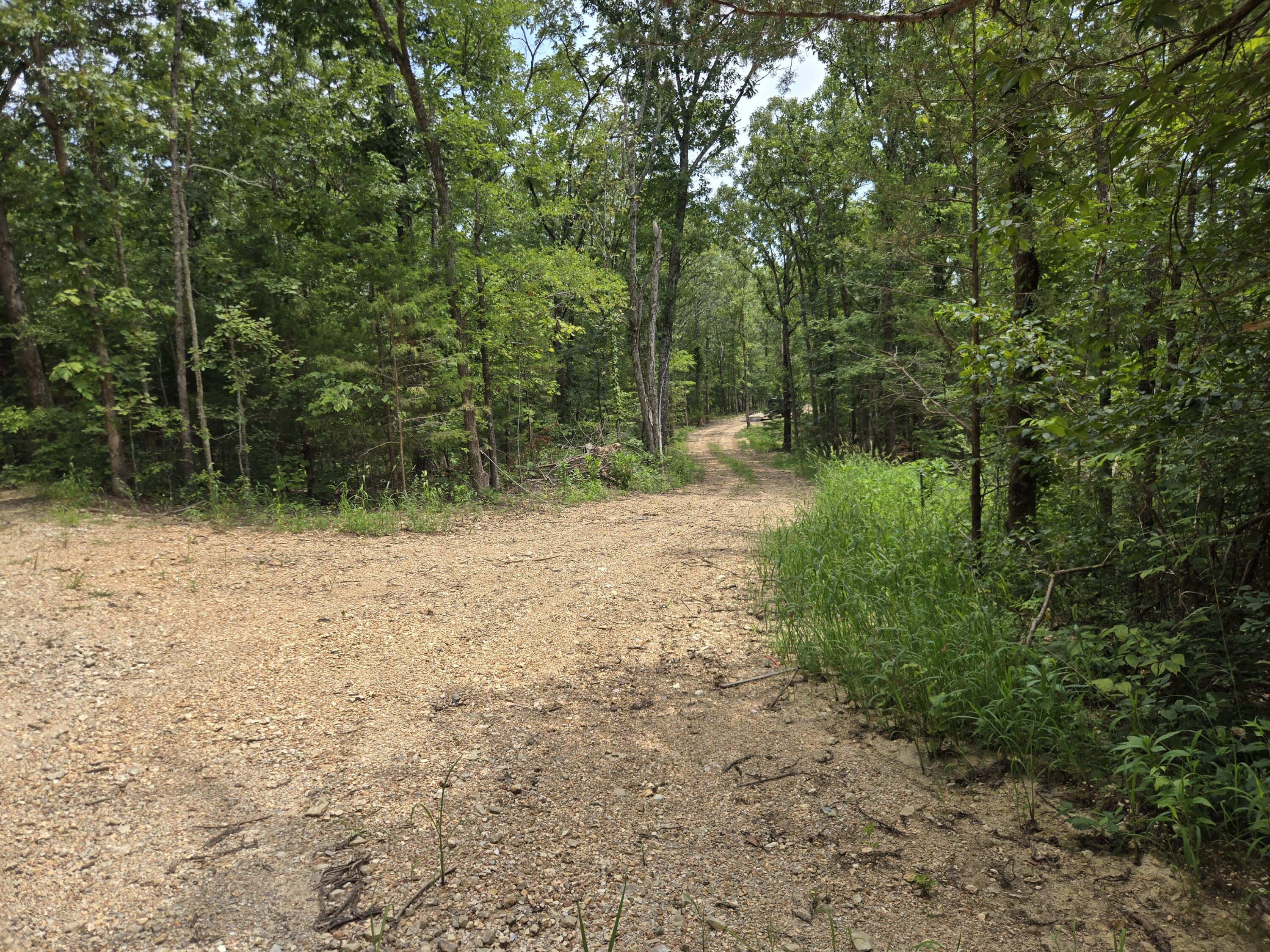 Photo 6 - Land for sale – 000  76-126   Norwood, MO