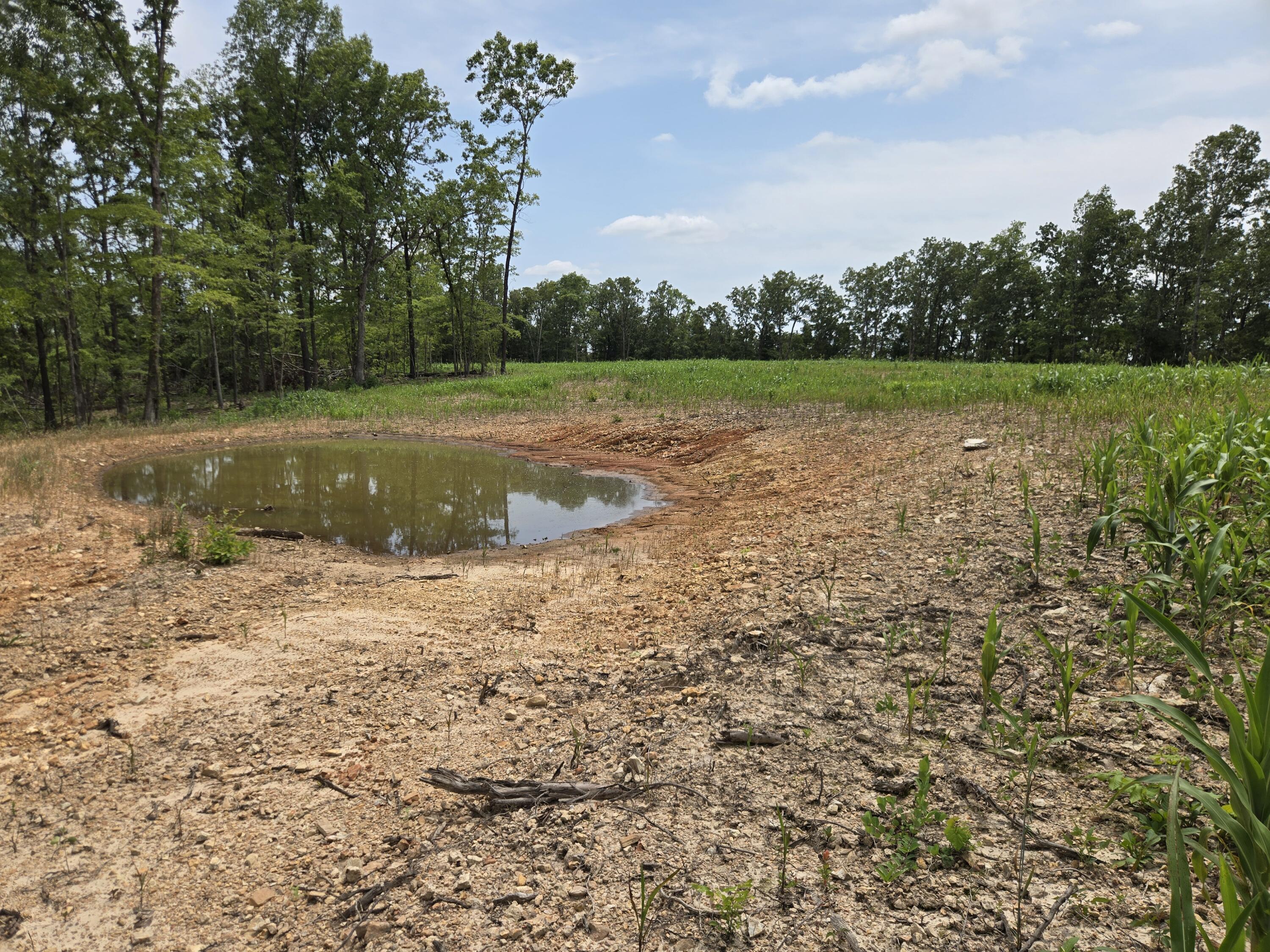 Photo 33 - Land for sale – 000  76-126   Norwood, MO