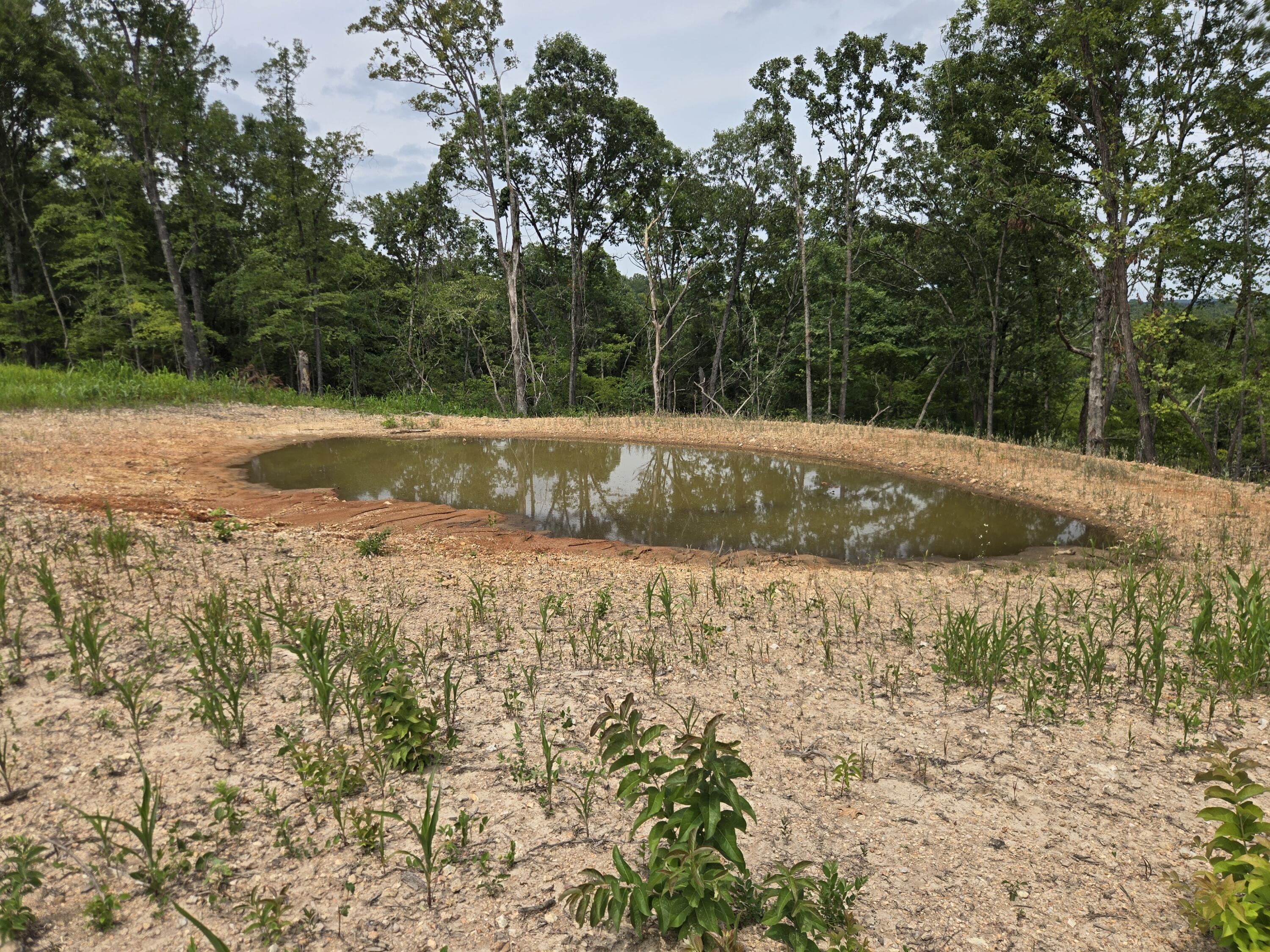 Photo 15 - Land for sale – 000  76-126   Norwood, MO
