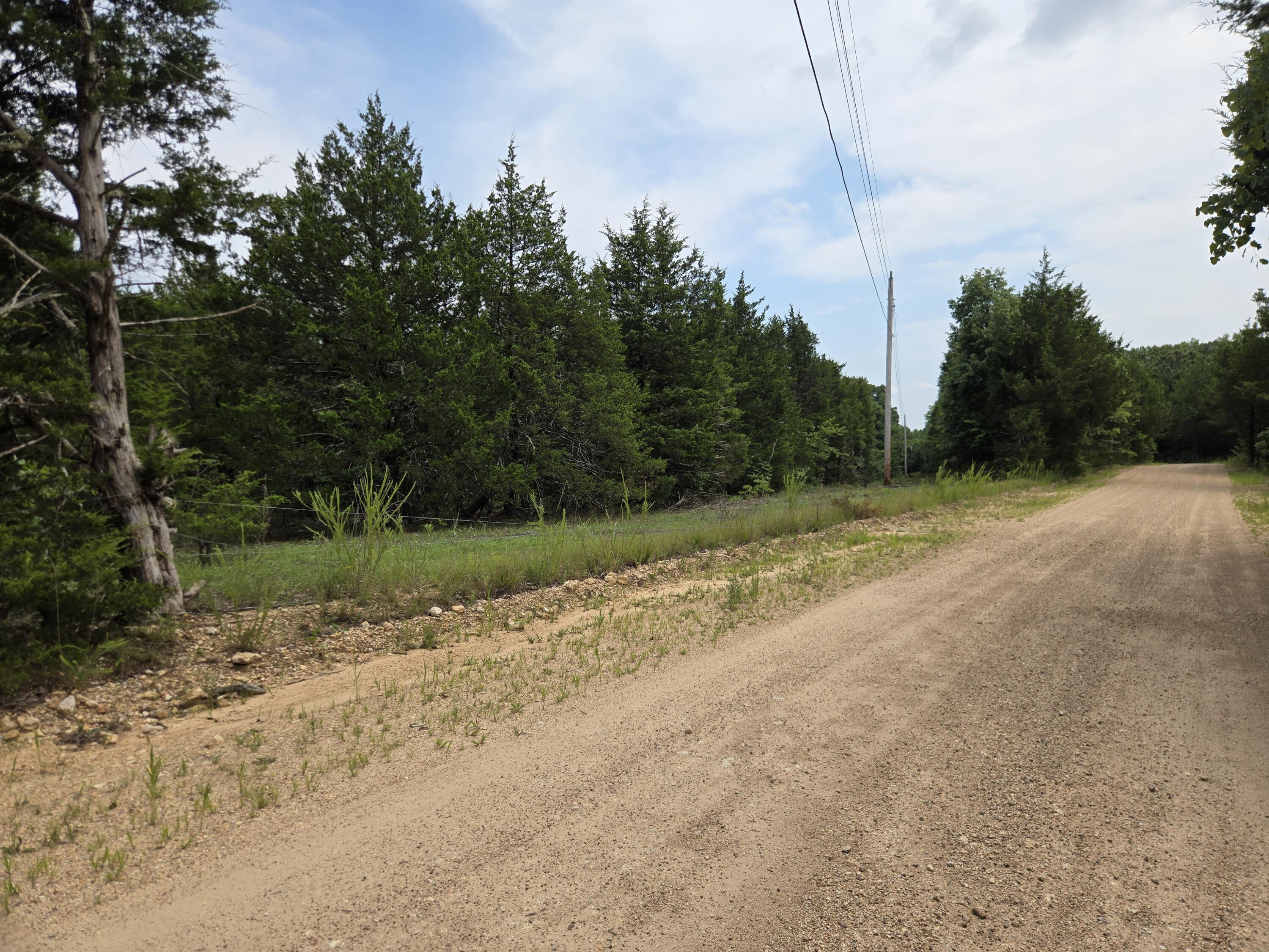 Photo 12 - Land for sale – 000  76-126   Norwood, MO